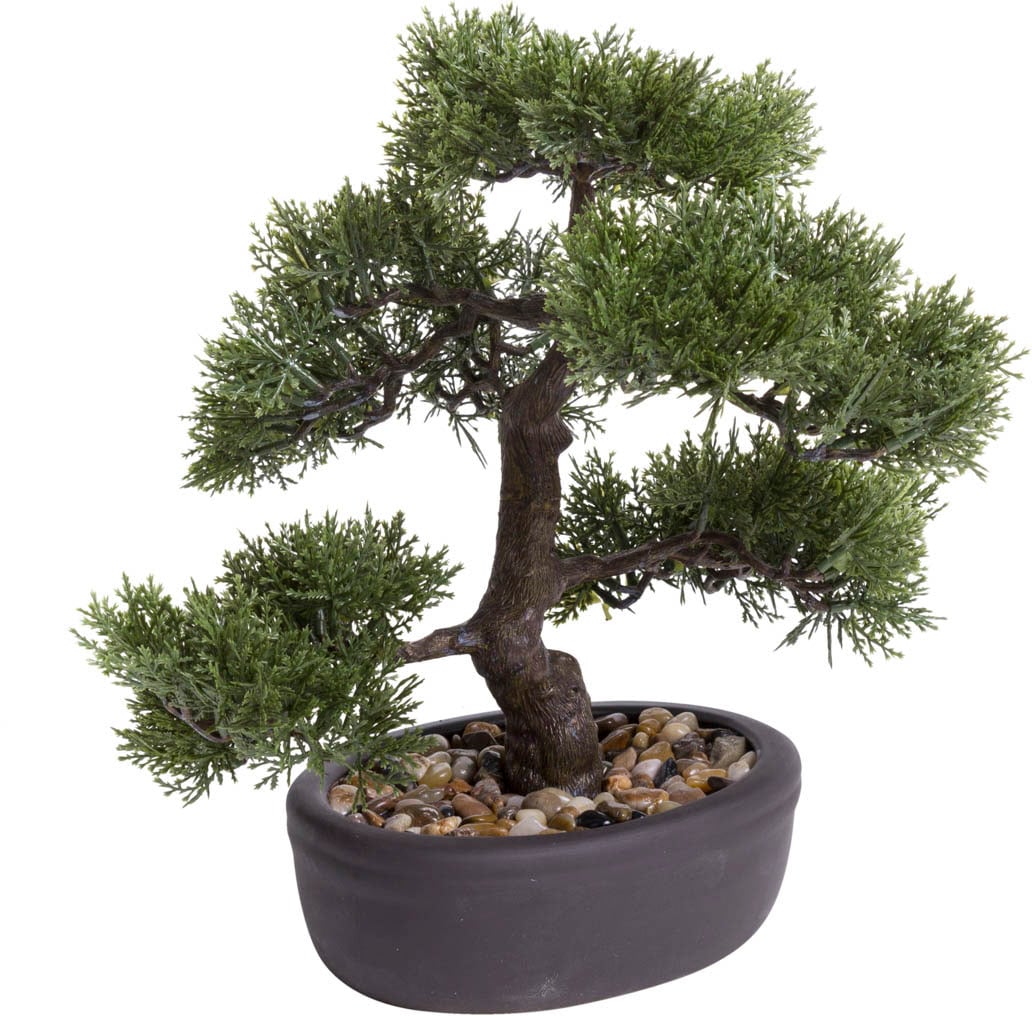 Botanic-Haus Kunstbonsai »Ceder Bonsai«