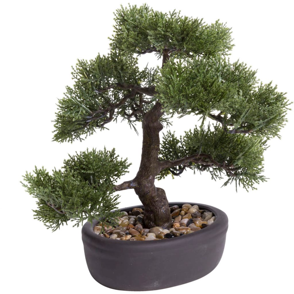 Botanic-Haus Kunstbonsai »Ceder Bonsai«