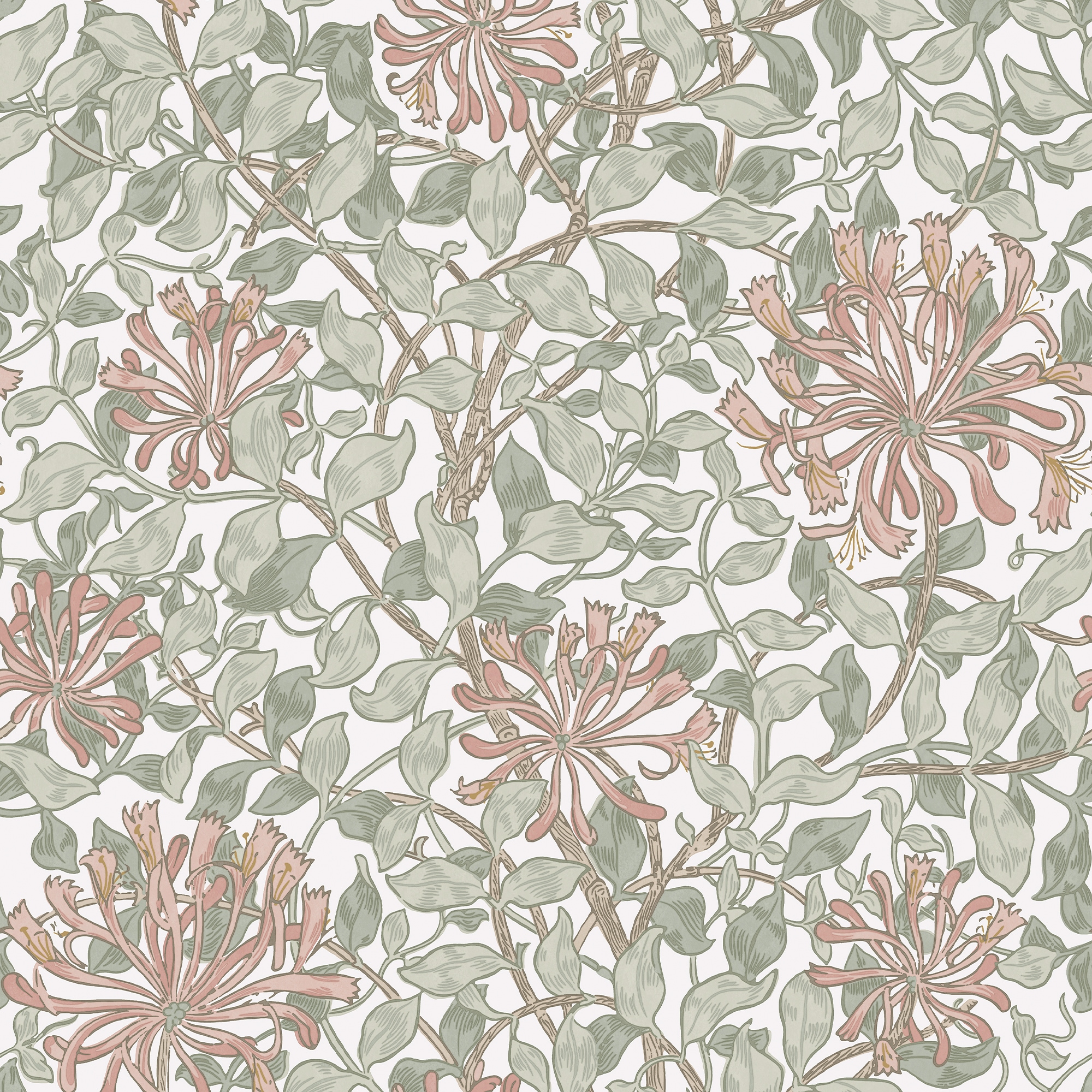 WILLIAM MORRIS AT HOME Vliestapete »Honeysuckle Maytime«, Motiv, Design Tapeten