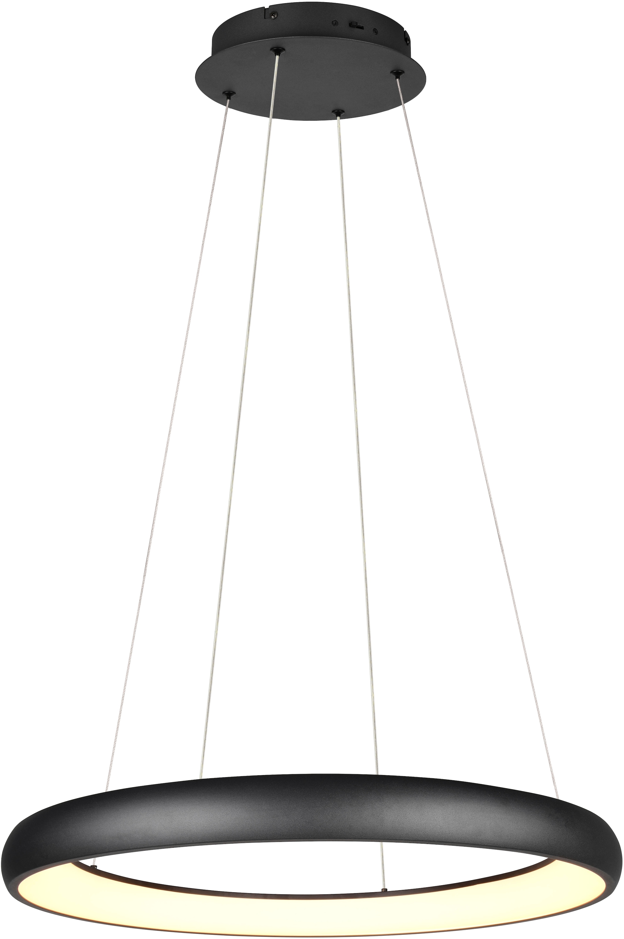 TRIO Leuchten LED pakabinamas šviestuvas »CARDONA LE...