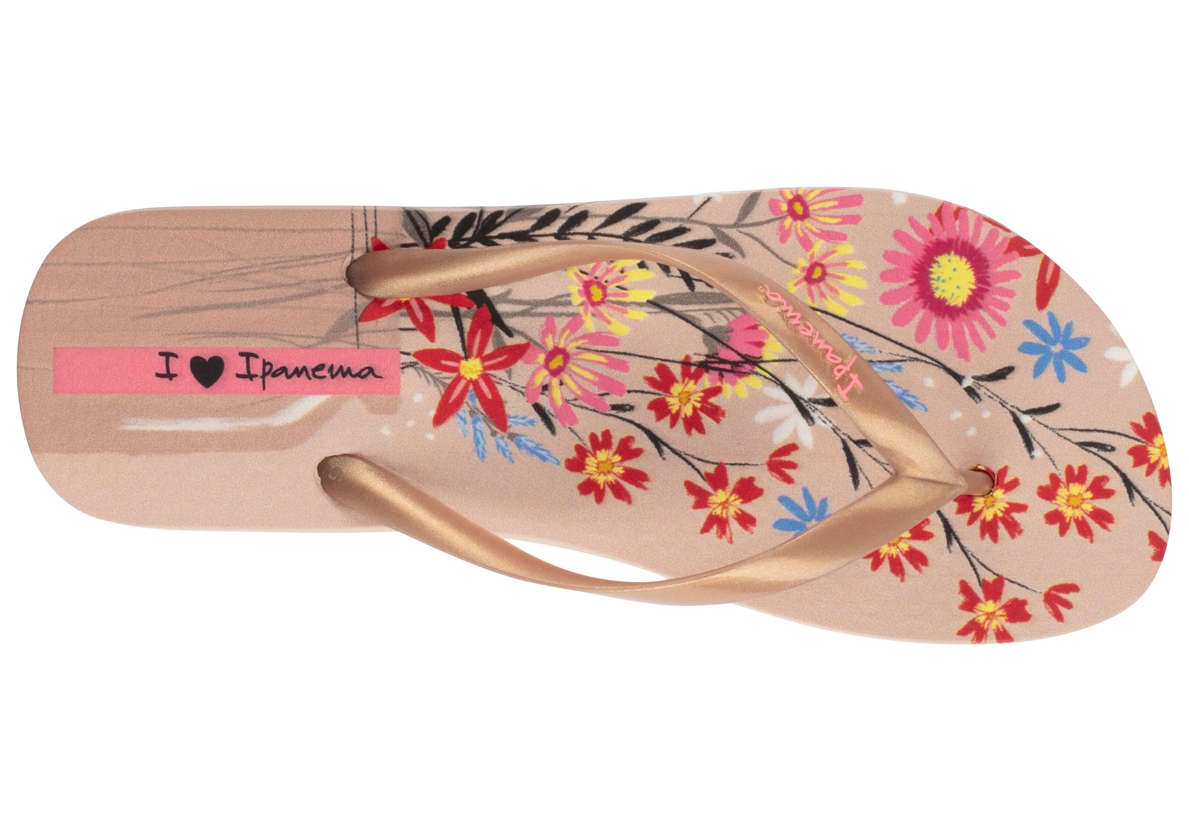 Ipanema Zehentrenner »IPANEMA VERAO TROPICAL FEM«