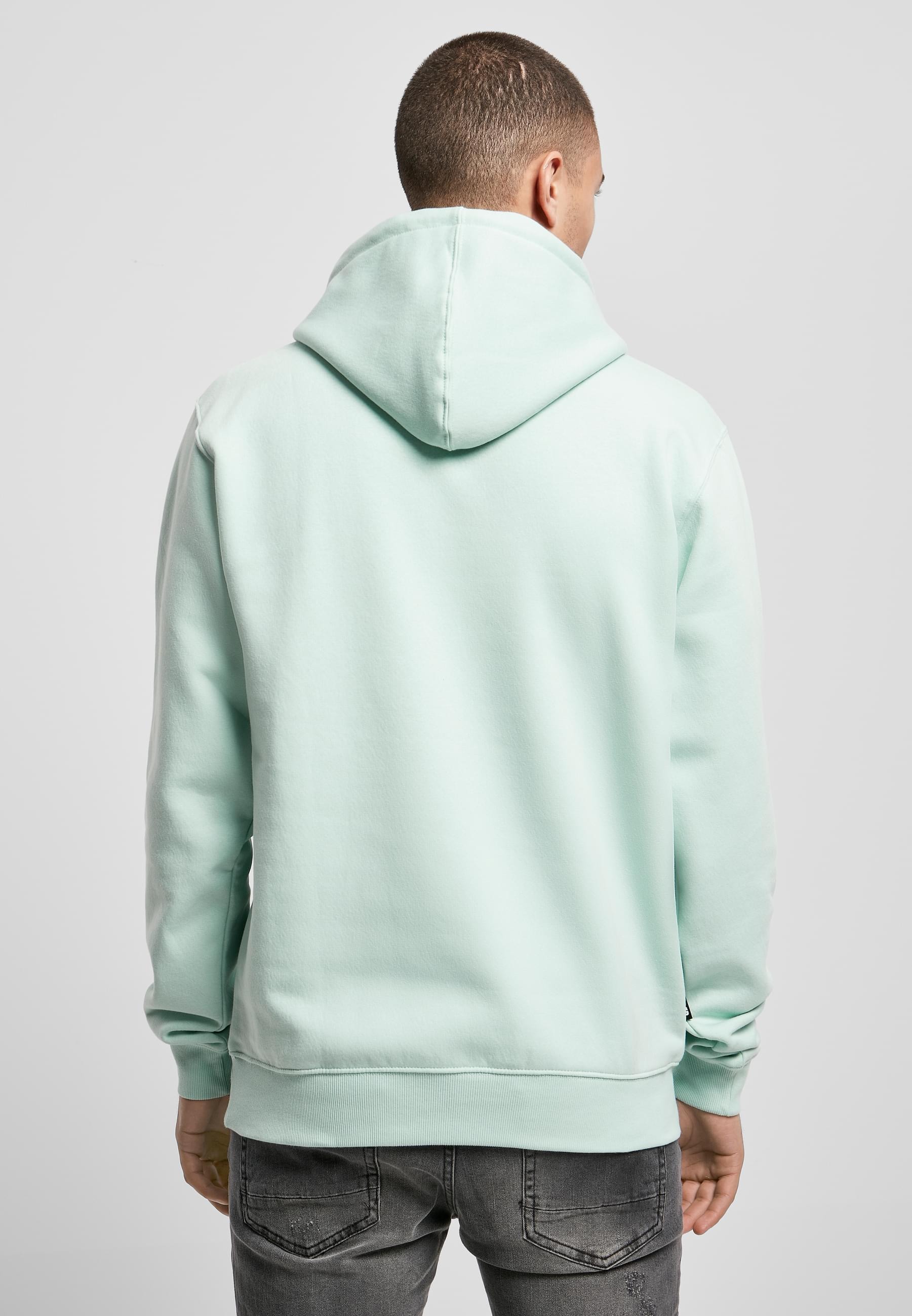CAYLER & SONS Kapuzensweatshirt »Cayler & Sons Herren C&S Plain Hoody«, (1 tlg.)