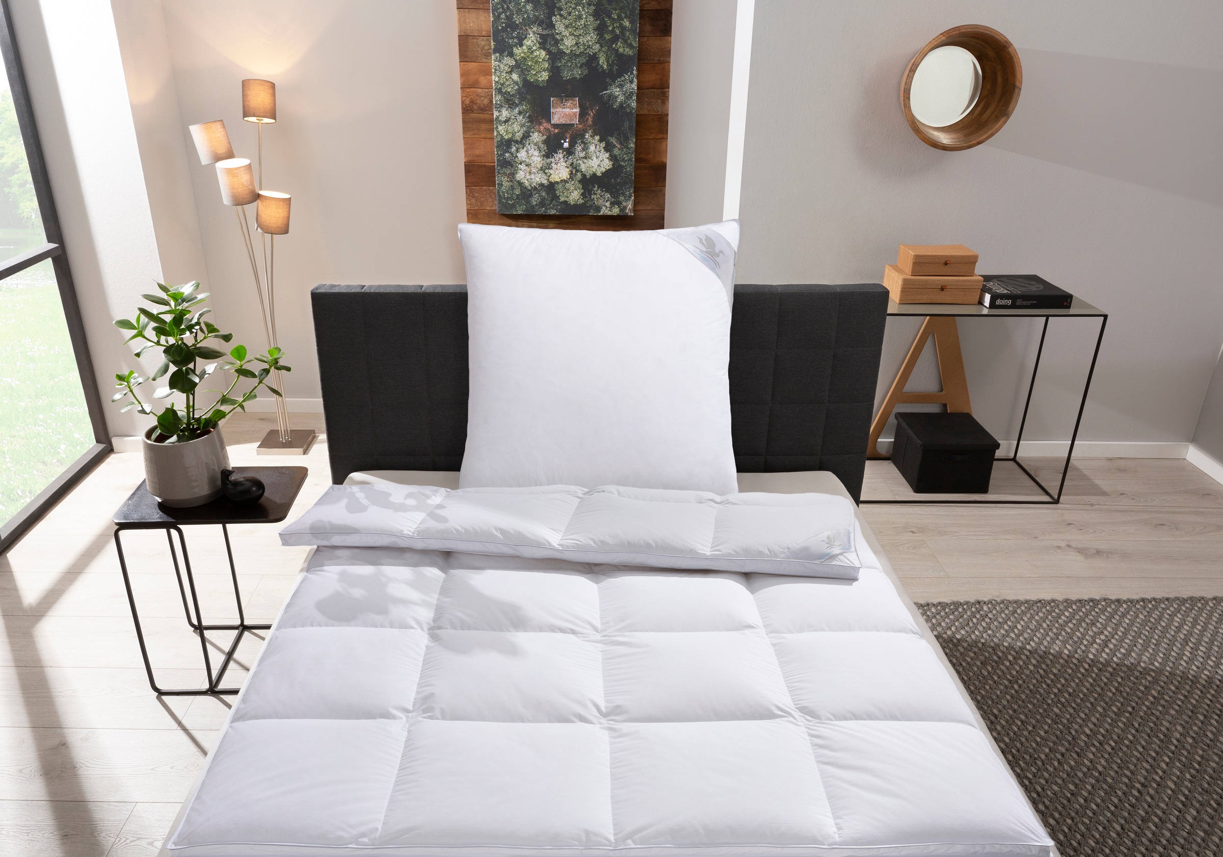 Otto Keller Daunenbettdecke + Kopfkissen "STARLIGHT" sorgt für hohen Schlaf günstig online kaufen