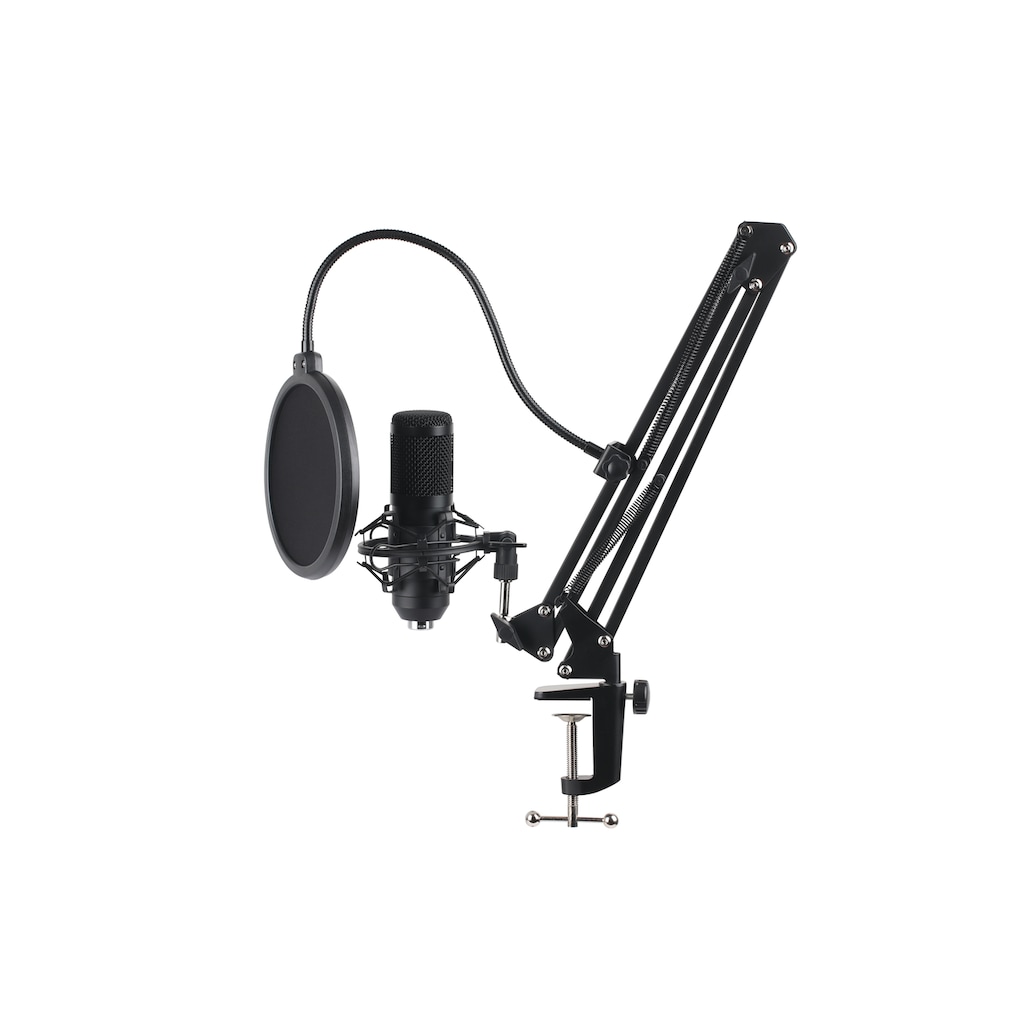 Hyrican Eingabegeräte-Set »Striker Streamer Startup Collection Headset + Studio Mikrofon + Webcam«