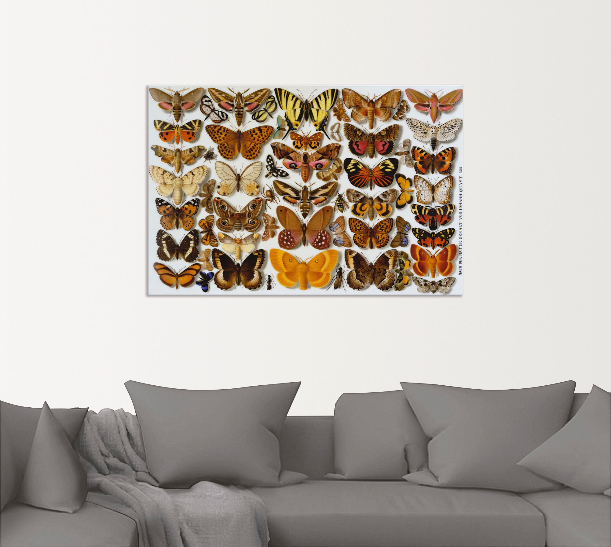Artland Kunstdruck »Schmetterlinge. Porzellanmalerei. 1881«, Insekten, (1 St.), als Alubild, Leinwandbild, Wandaufkleber oder Poster in versch. Größen