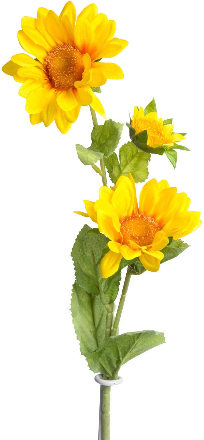 Botanic-Haus Kunstblume »Sonnenblume mit 2 Stielen«
