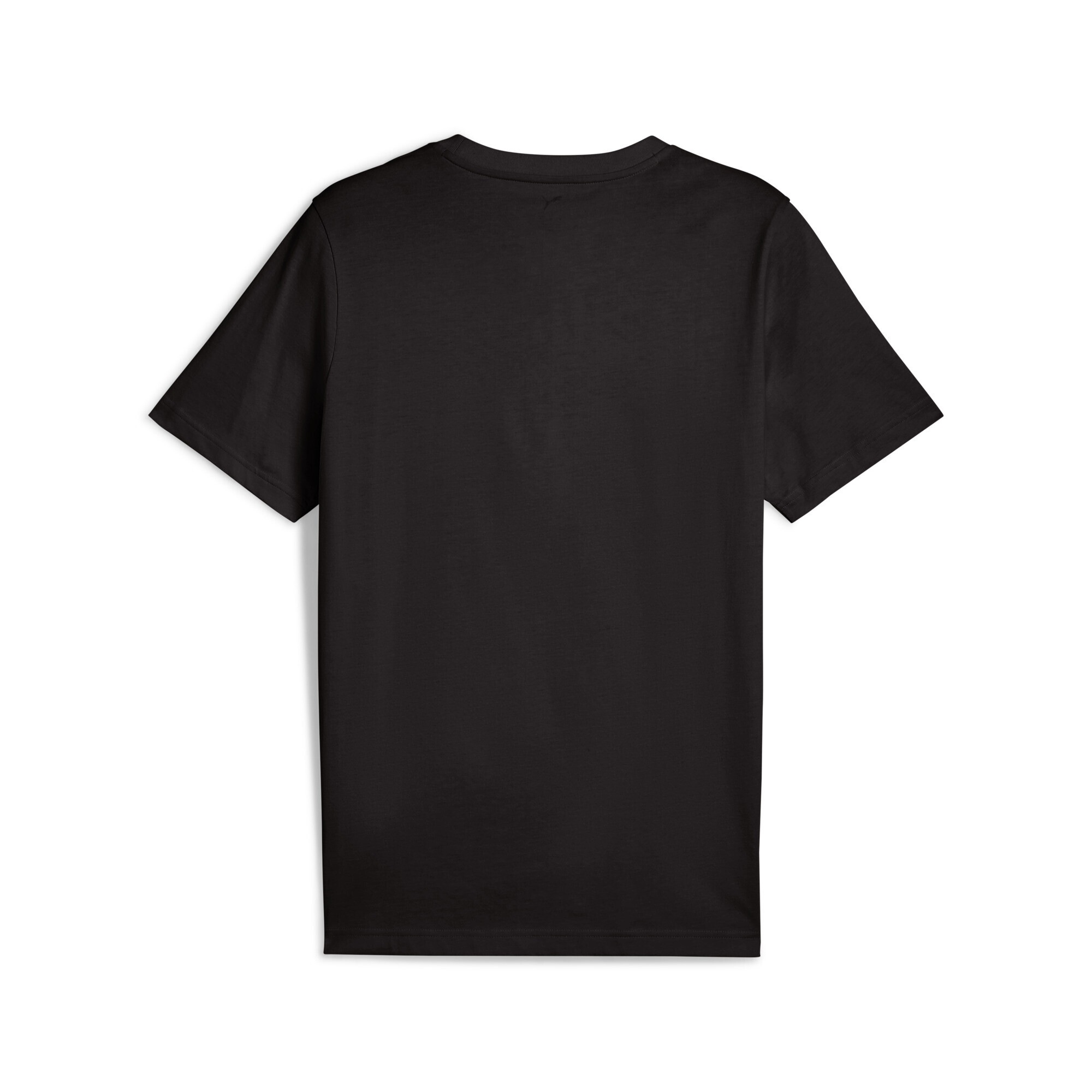 PUMA T-Shirt »Graphics Photoprint T-Shirt Herren«