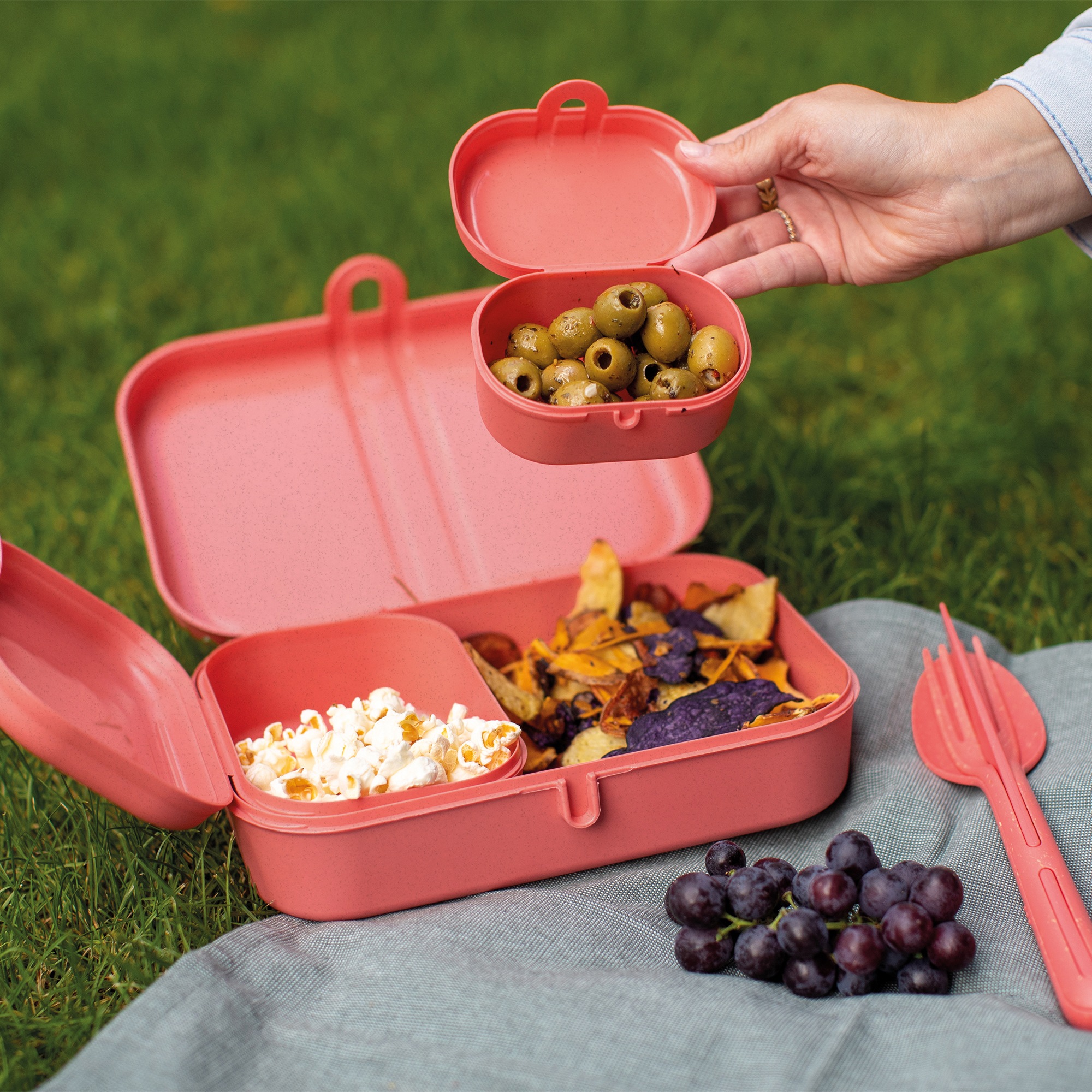 KOZIOL Lunchbox, (Set, 6 tlg., 3 Lunchboxen +1 Besteckset bestehend aus 1x Messer,1x Gabel, 1x Löffel), biozirkulärem Material,spülmaschinengeeignet,melaminfrei,recycelbar