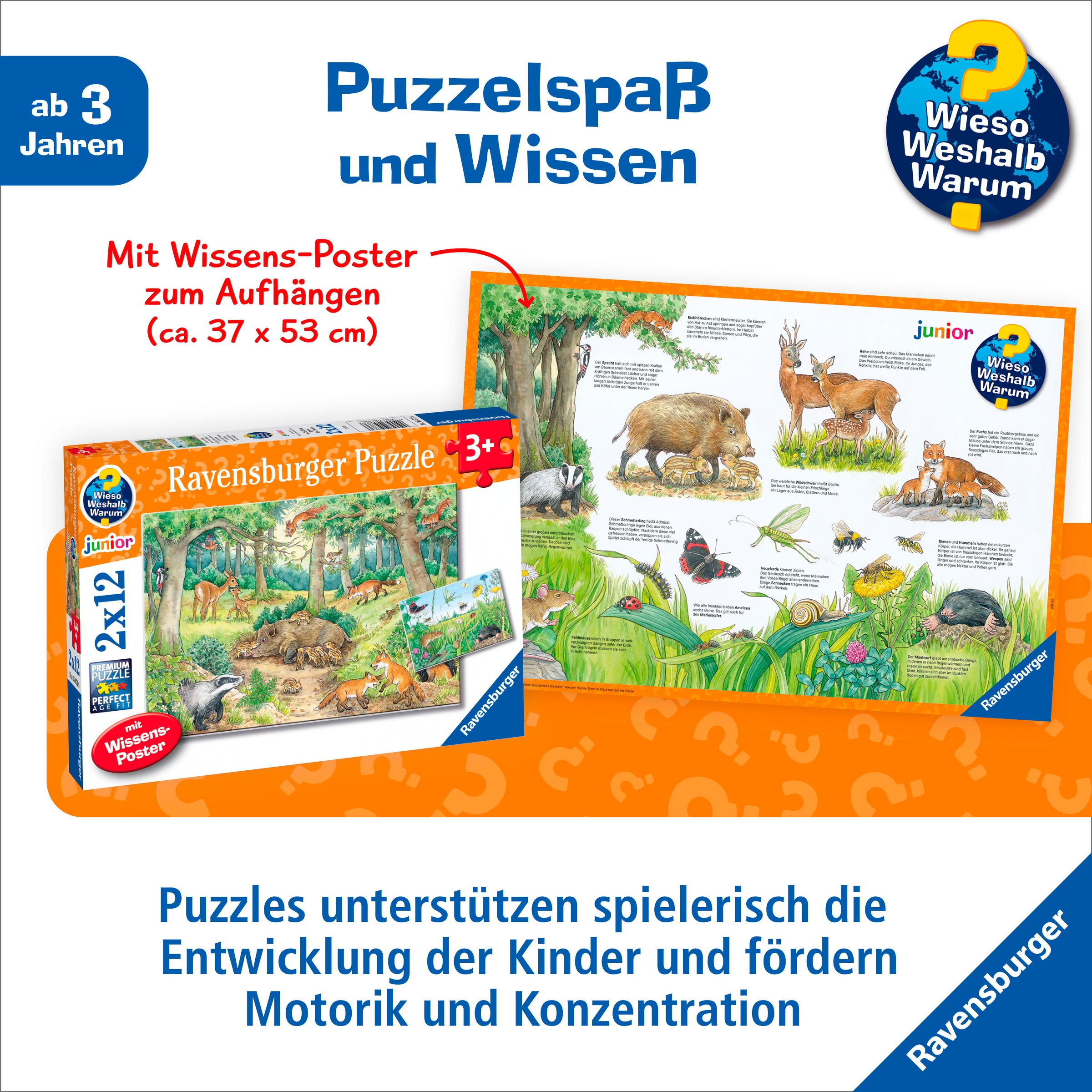 Ravensburger Puzzle »Wieso? Weshalb? Warum? Junior, Tiere im Wald und auf der Wiese«, 2x12 Teile; Made in Europe