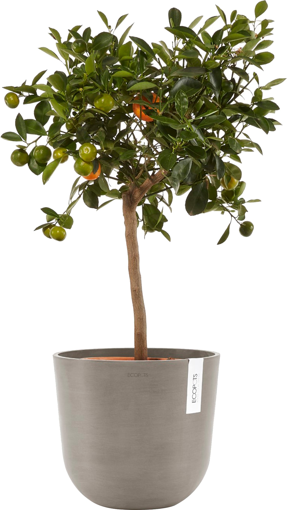 ECOPOTS Blumentopf »Oslo 25 Taupe«, für innen und außen: frostsicher, bruchsicher und lichtbeständig