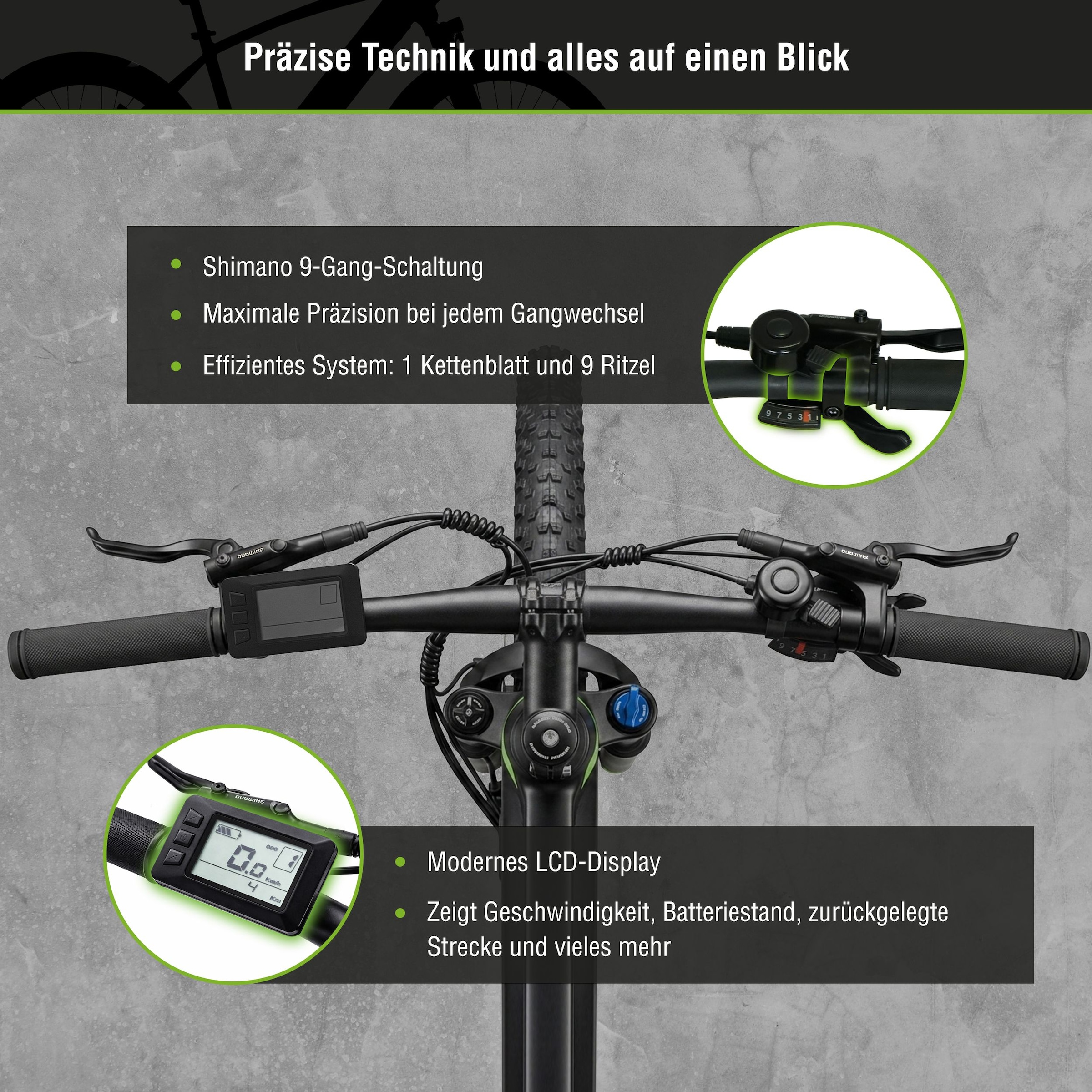 SachsenRad »R8T Flex III mit Gepäckträger« 9 Gang Shimano Kettenschaltung Heckmotor 250 W