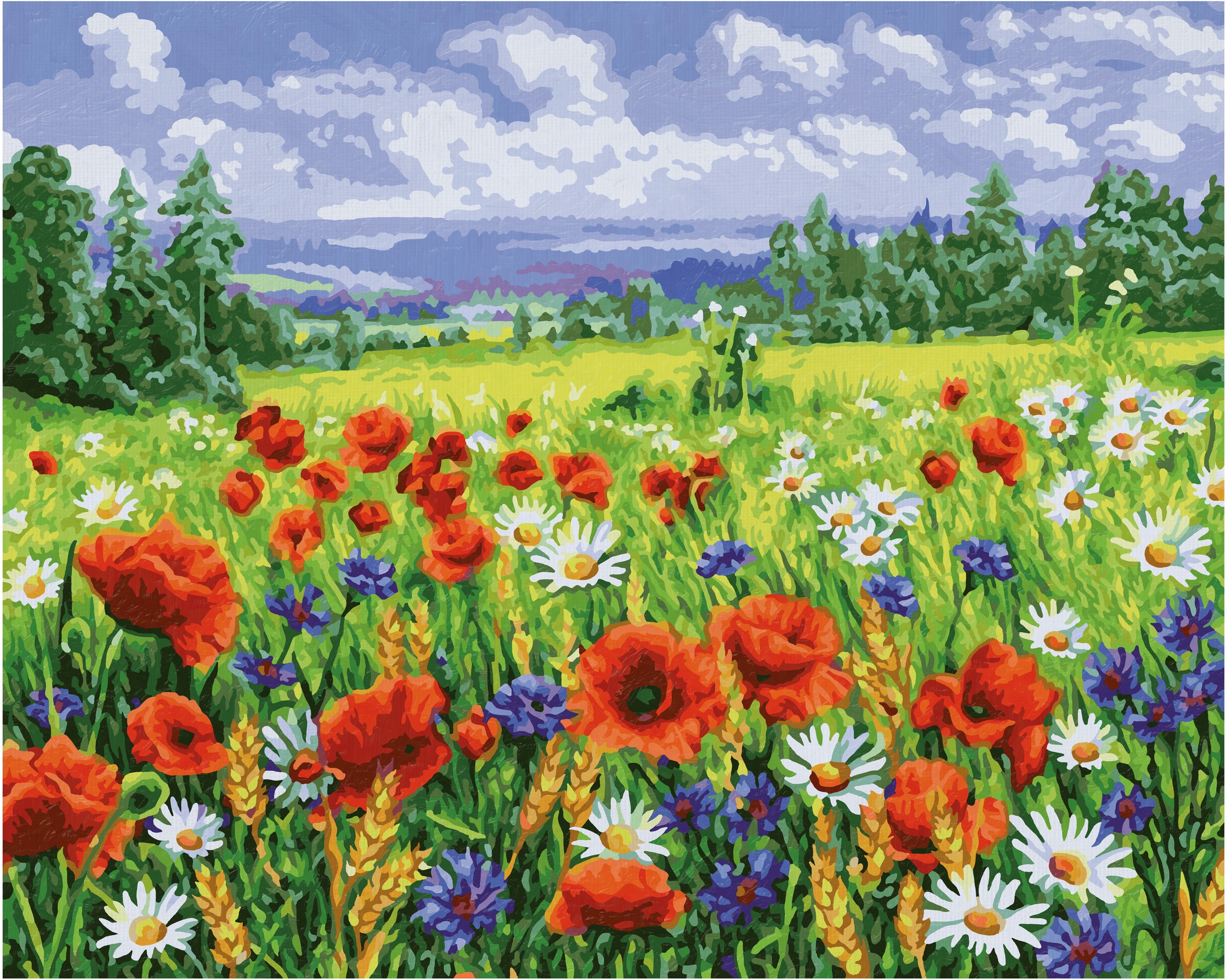 Schipper Malen Nach Zahlen Meisterklasse Premium Blumenwiese Made In Germany Baur