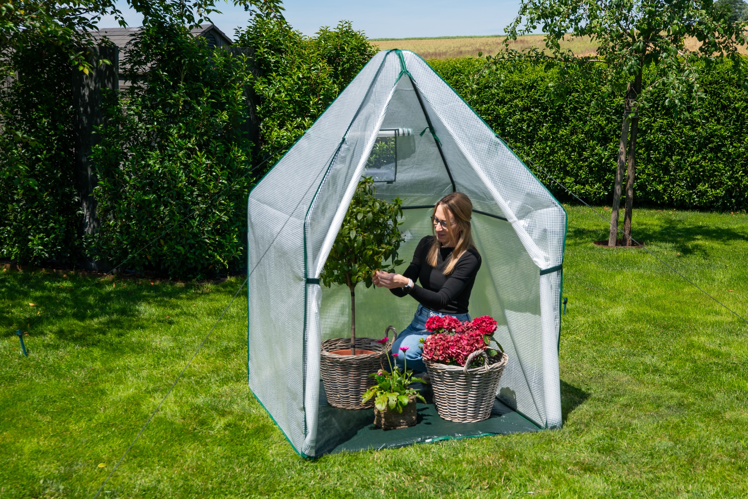 WESTMANN Foliengewächshaus »Chili« Überwinterungszelt