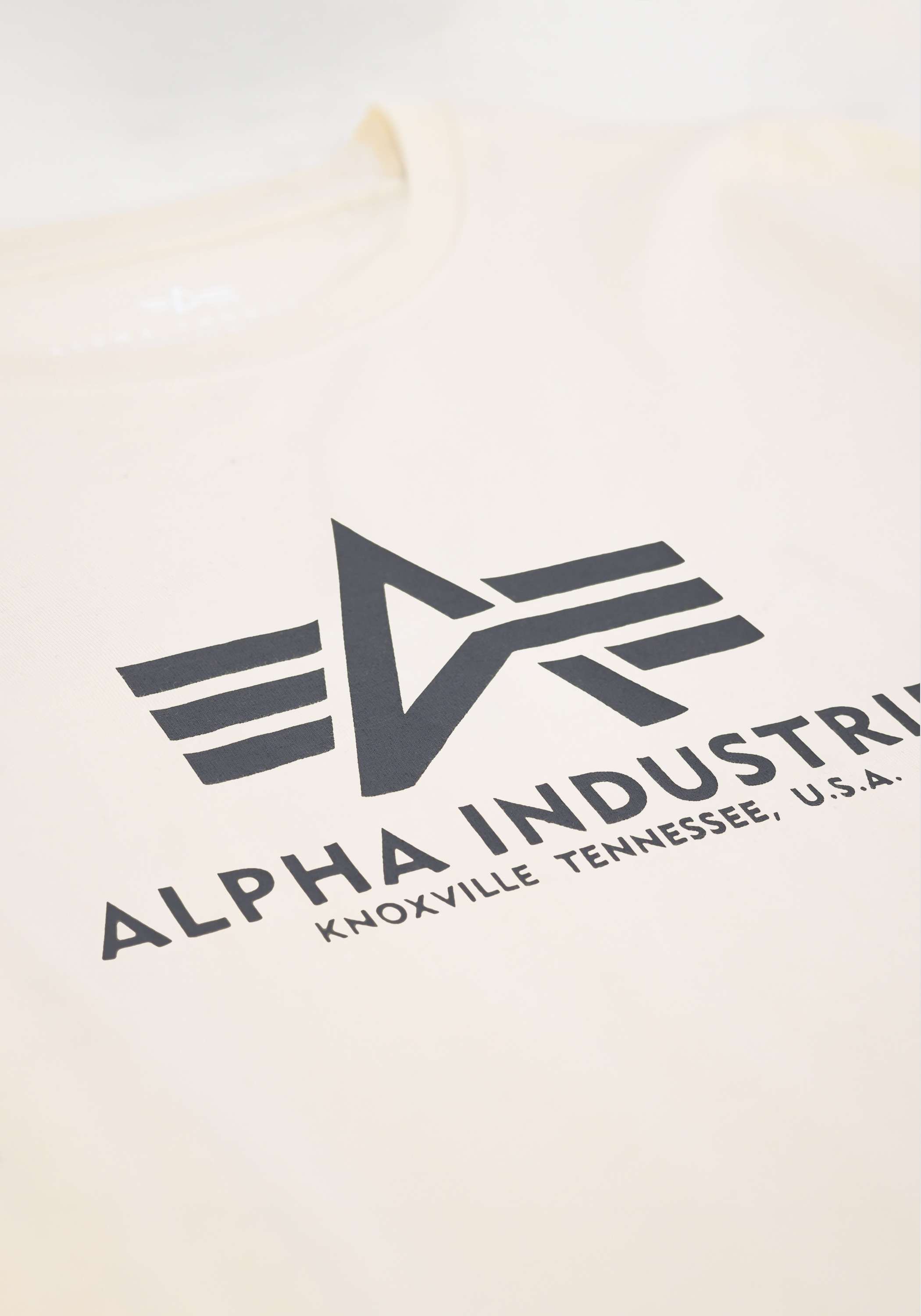 Alpha Industries T-Shirt »Basic T-Shirt BL K«