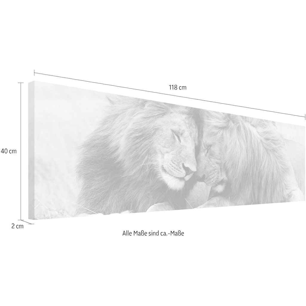 Reinders! Wandbild »Löwenliebe«