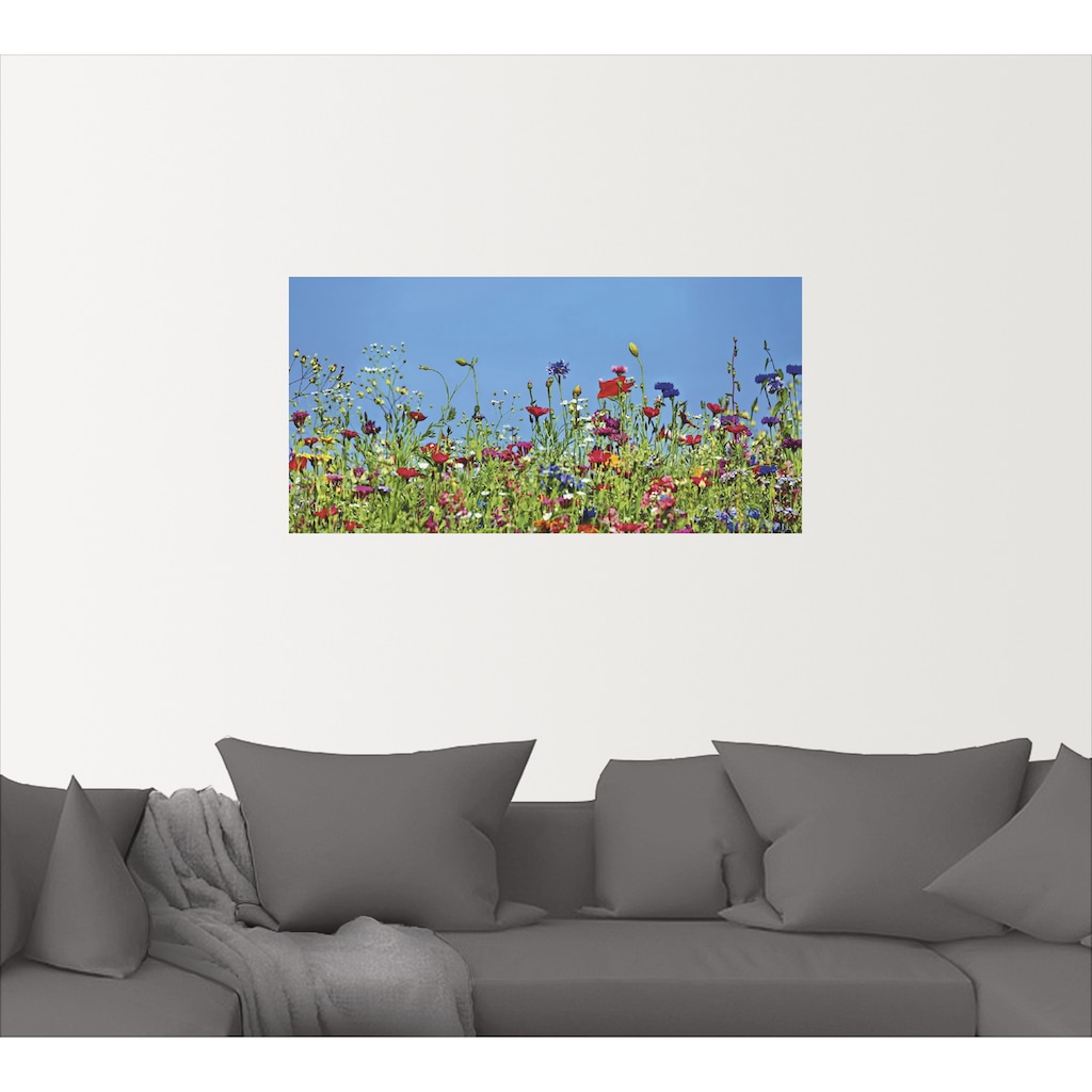 Artland Wandbild »Blumenwiese II«, Blumenwiese, (1 St.)