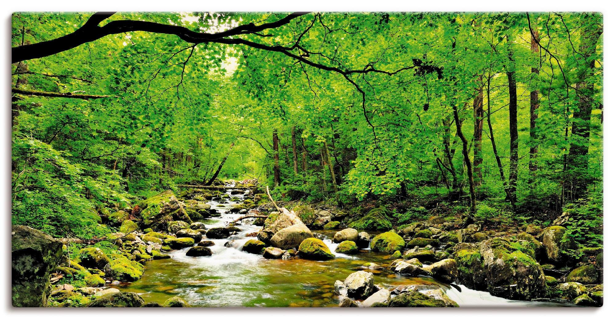 Artland Wandbild "Herbstwald Fluss Smolny" Wald 1 Stk. tlg. als Leinwandbil günstig online kaufen