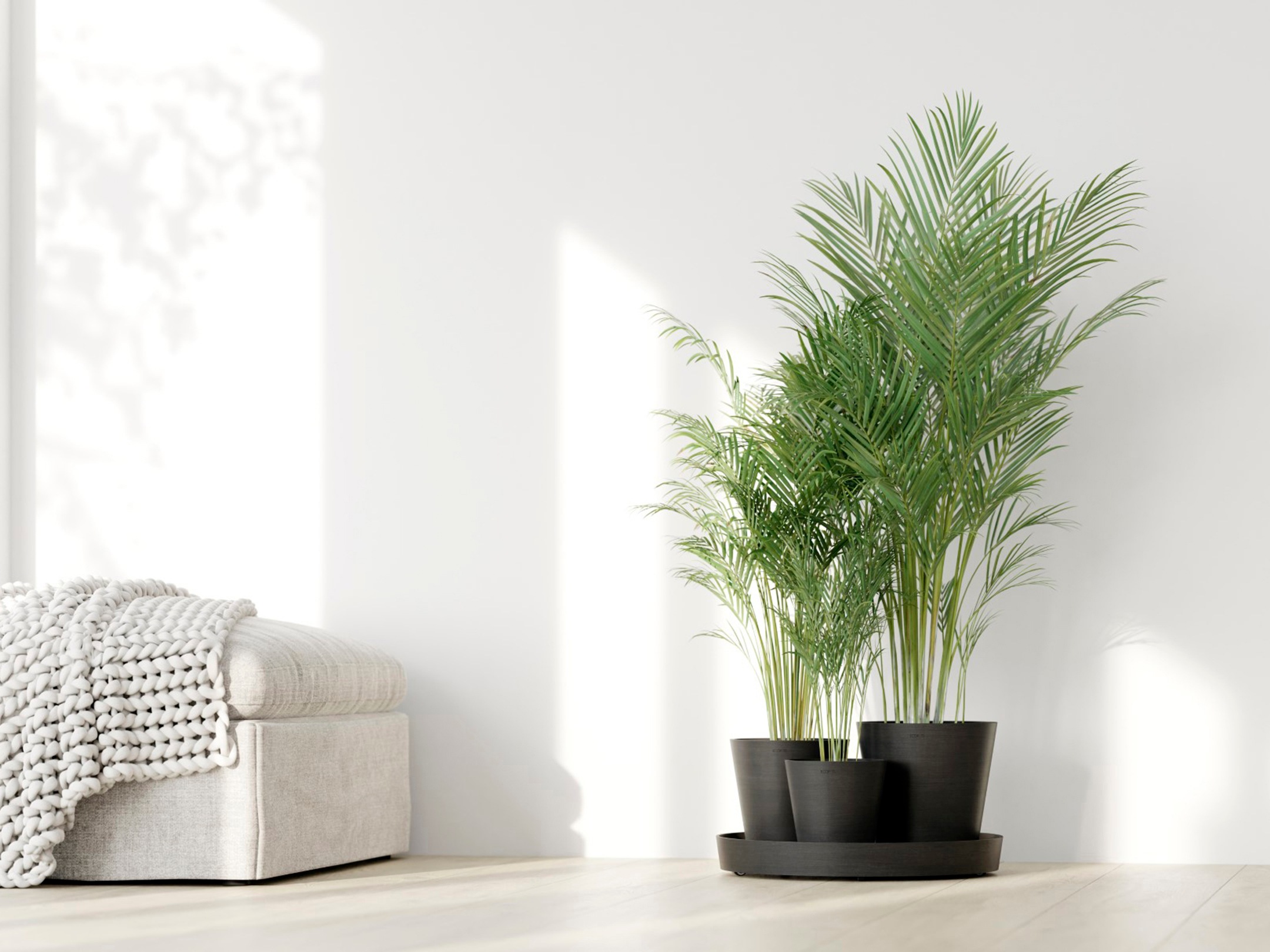 ECOPOTS Blumentopf »Dubai Dunkelgrau«, für innen und außen: frostsicher, bruchsicher und lichtbeständig