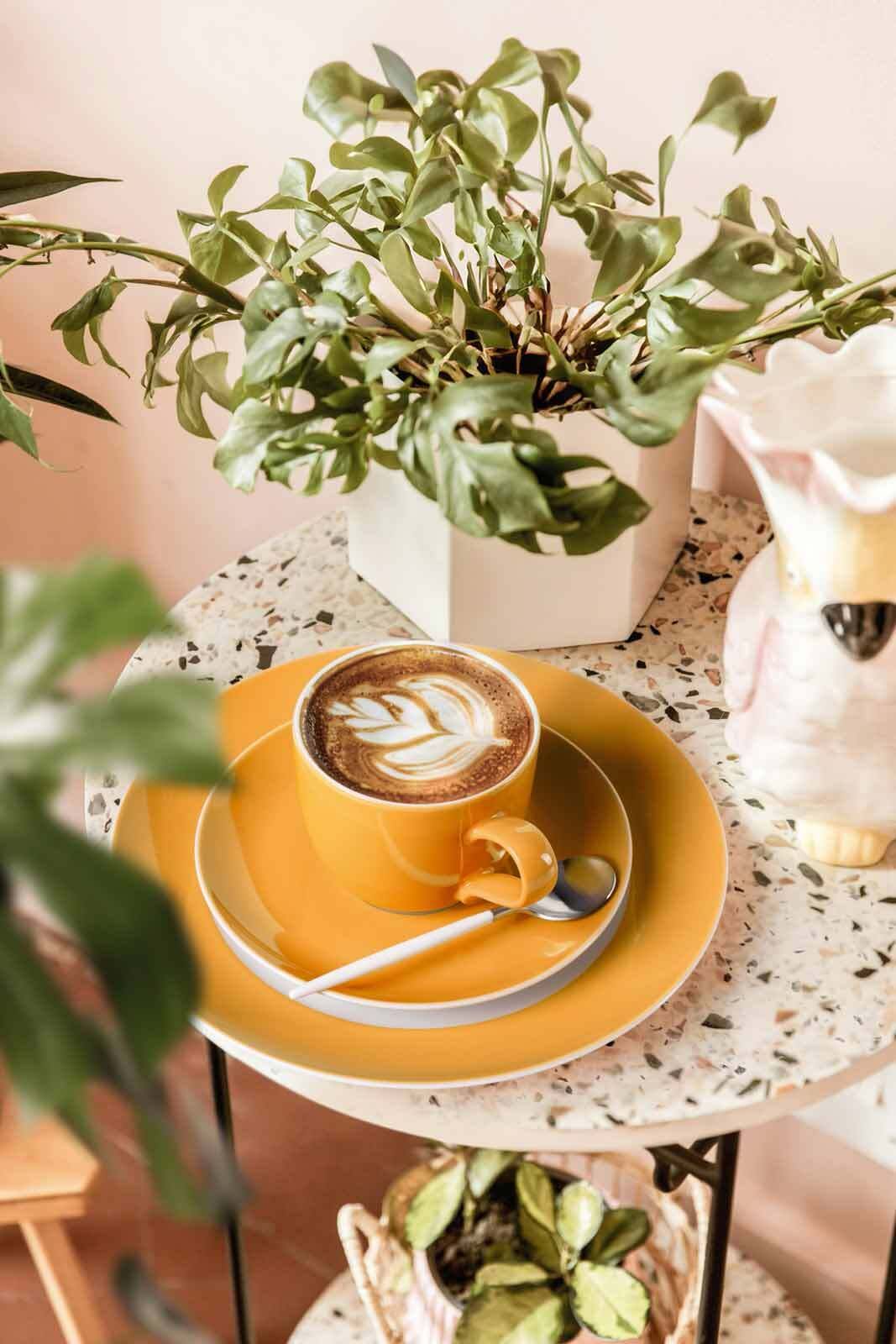Seltmann Weiden Untertasse »Kombiuntertassen Liberty Pure Colors ø 16 cm 6er Set«