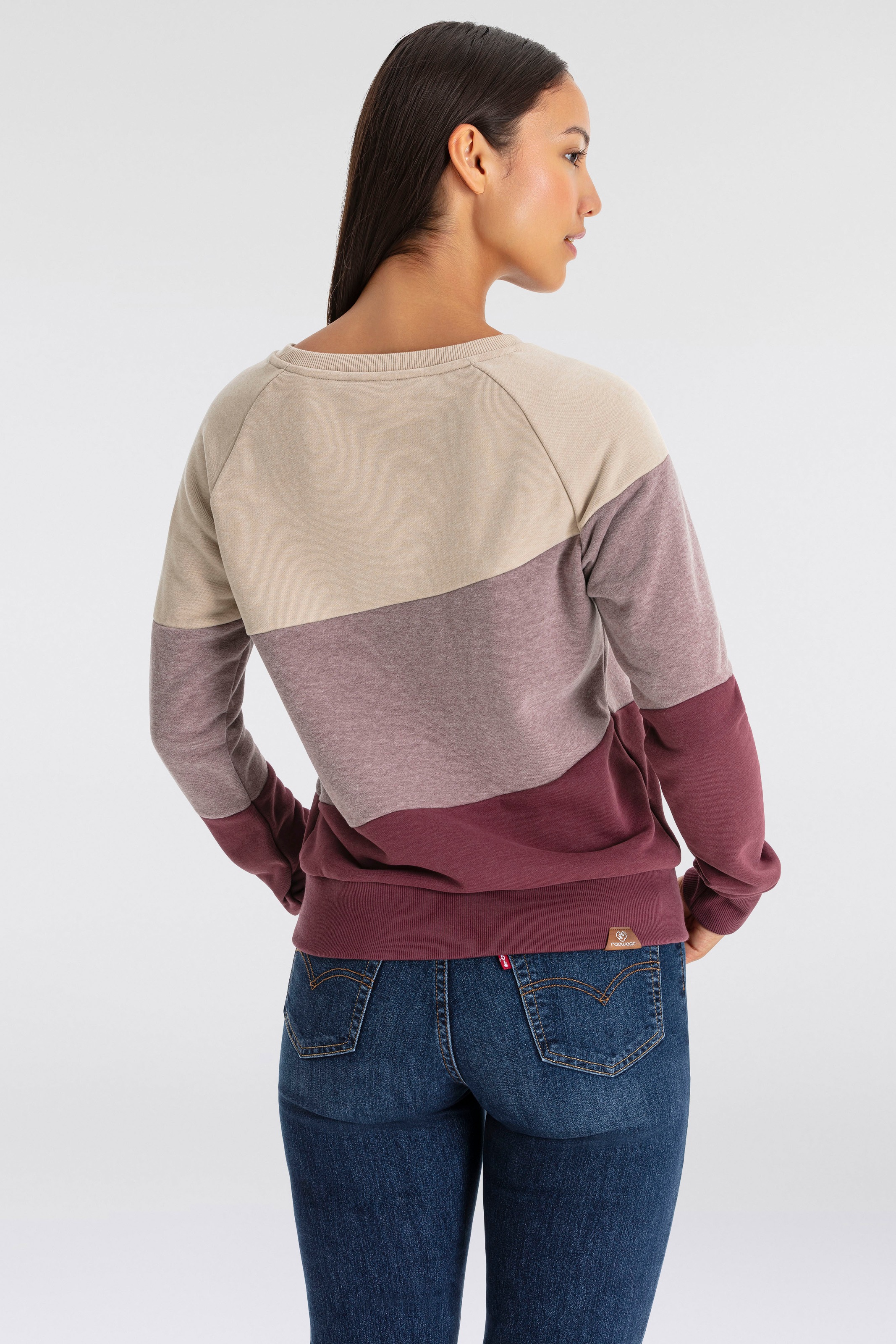 Ragwear Sweater "JOHANKA BLOCK", Crew Neck im Color-Blocking Design günstig online kaufen