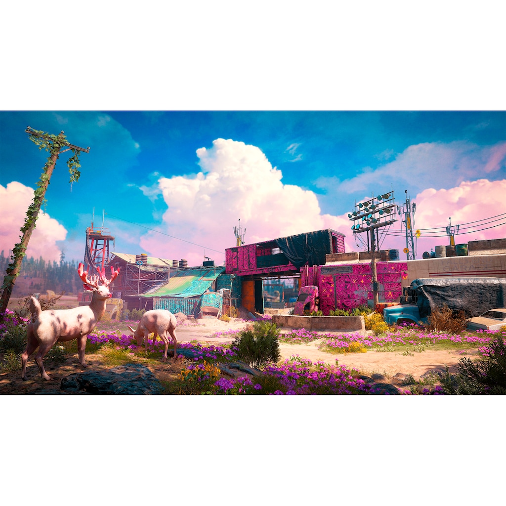 UBISOFT Spielesoftware »Far Cry New Dawn«, PC