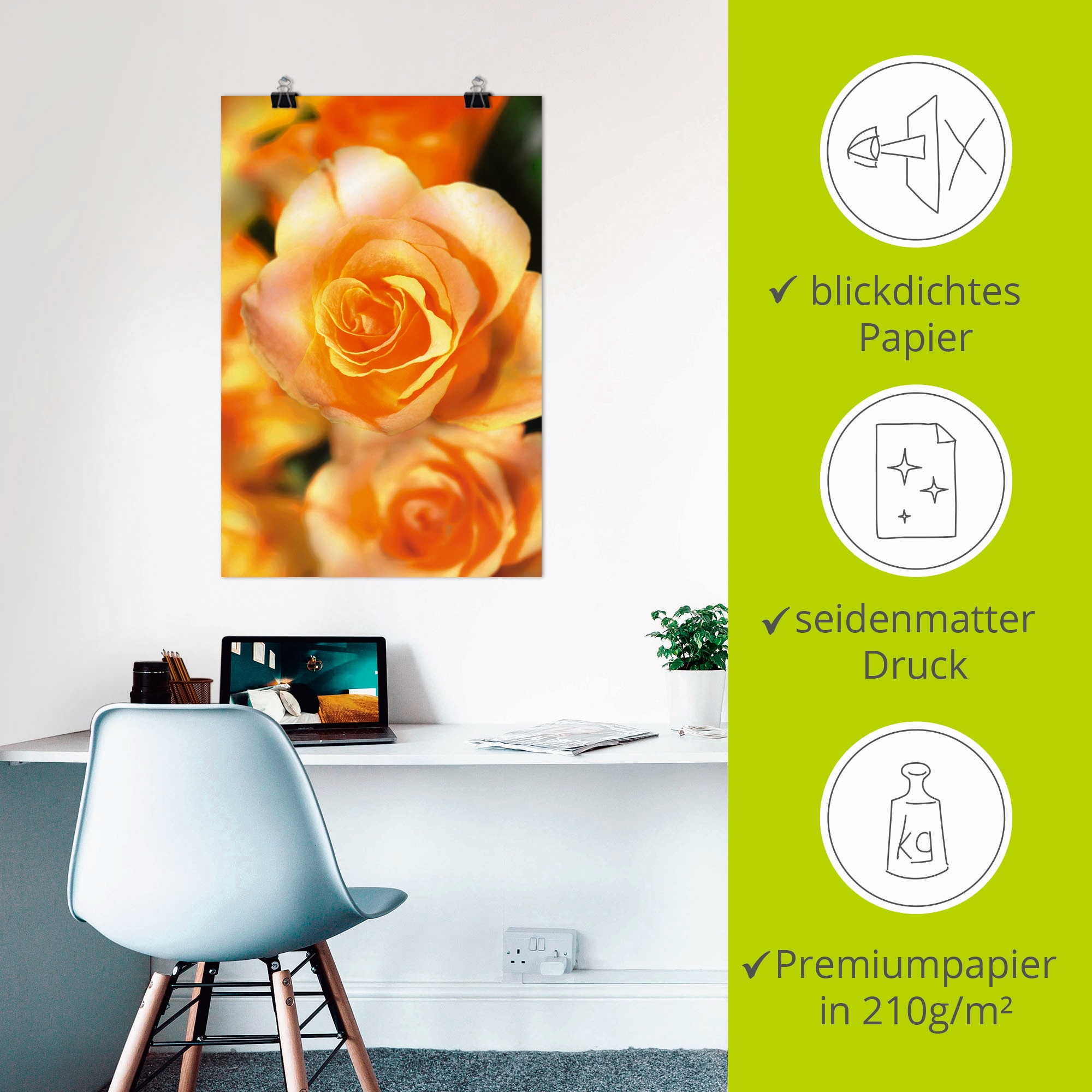 Artland Poster »Strahlende Sommerrosen«, Blumen, (1 St.), als Alubild, Leinwandbild, Wandaufkleber oder Poster in versch. Größen