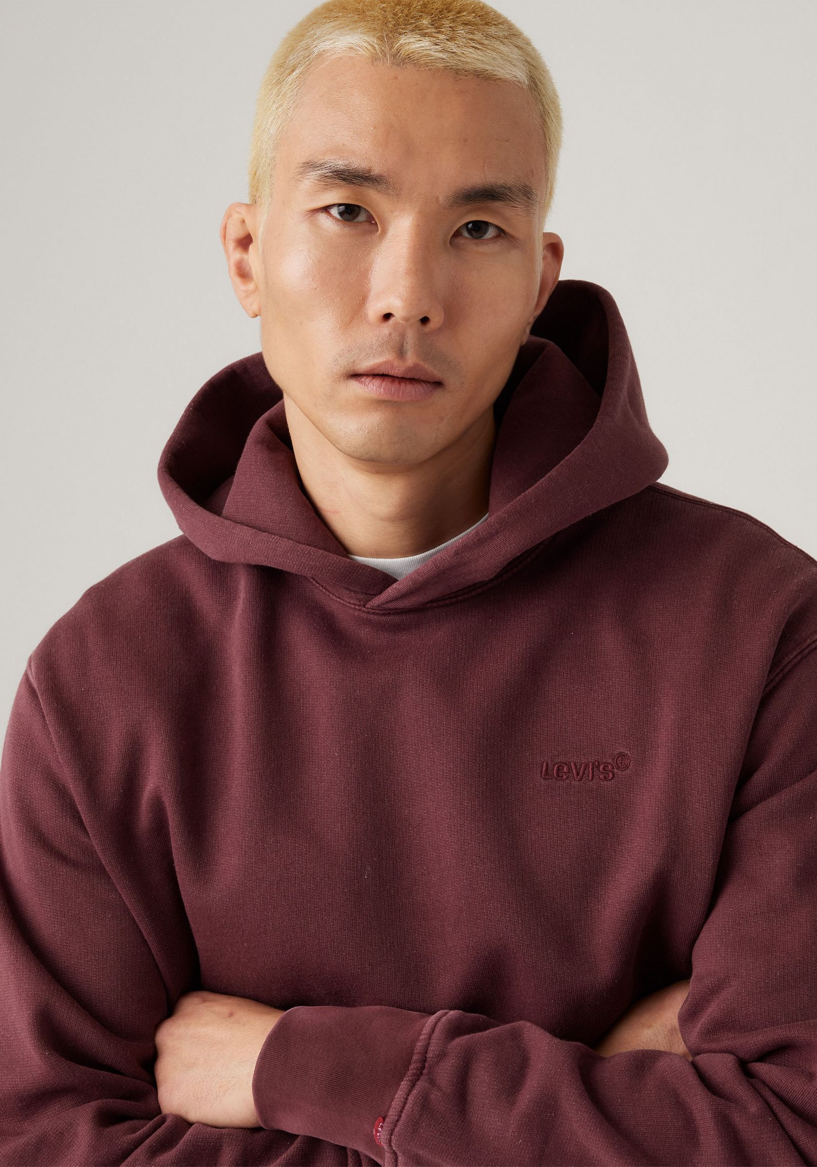 Levi's® Hoodie »THE AUTHENTIC HOODIE«, mit kleiner Ton-in-Ton Logostickerei auf der Brust
