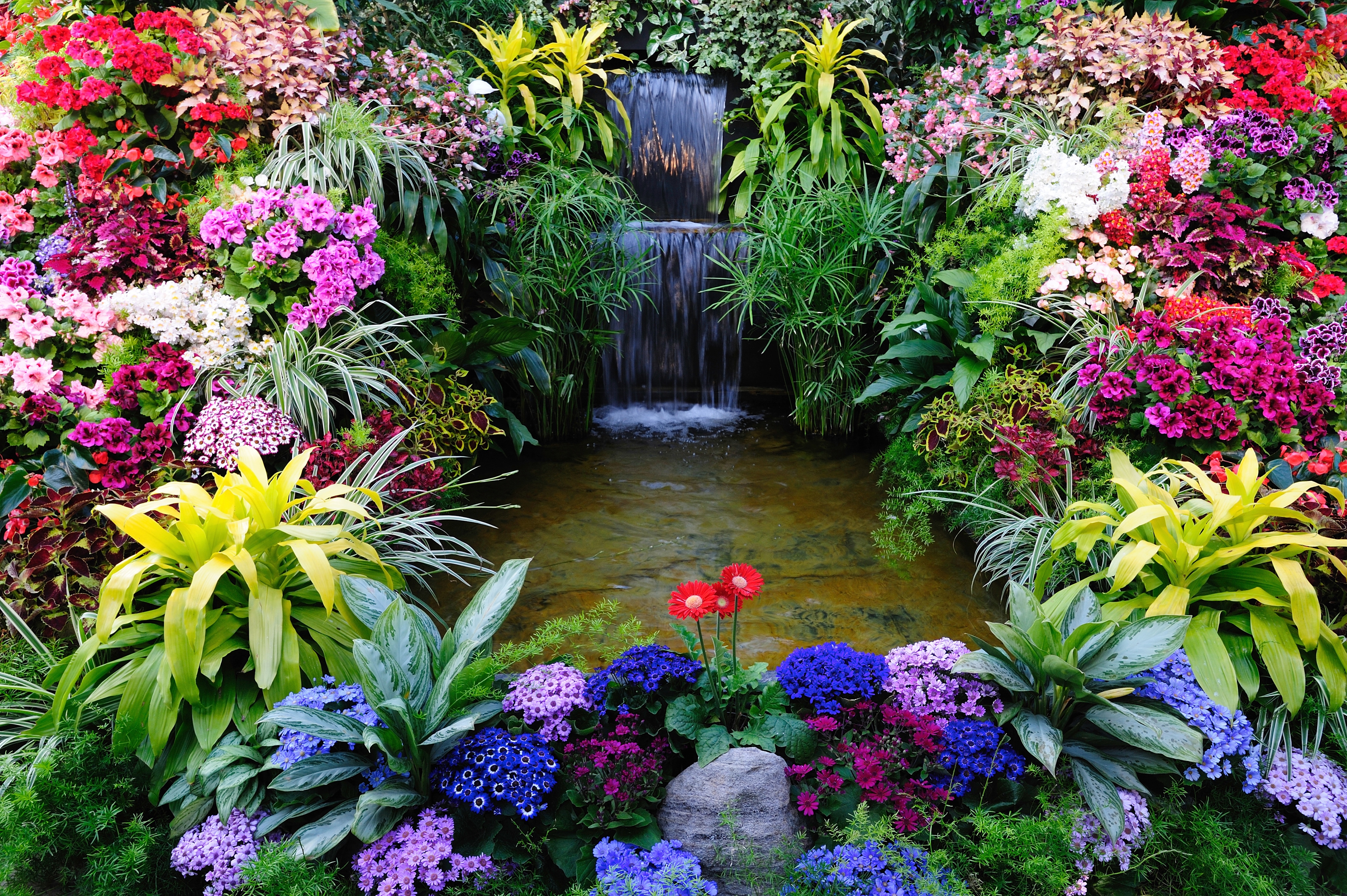 Papermoon Fototapete "BLUMEN LAGUNE WASSERFALL"