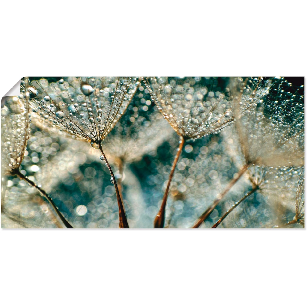 Artland Wandbild »Pusteblume Regenschauer«, Blumen, (1 St.)