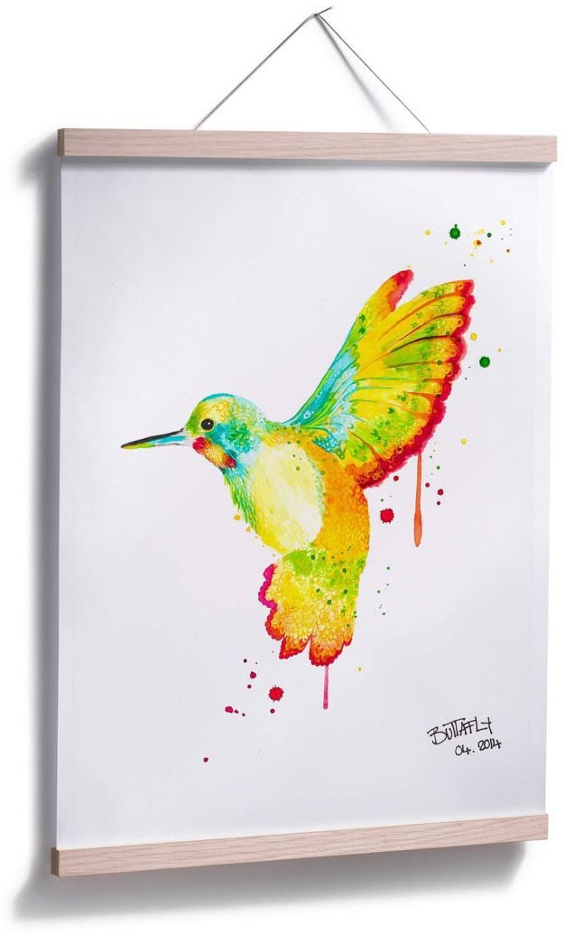 bestellen Bild, Poster | Vögel, Wall-Art »Kolibri«, BAUR Poster, Wandposter Wandbild, St.), (1