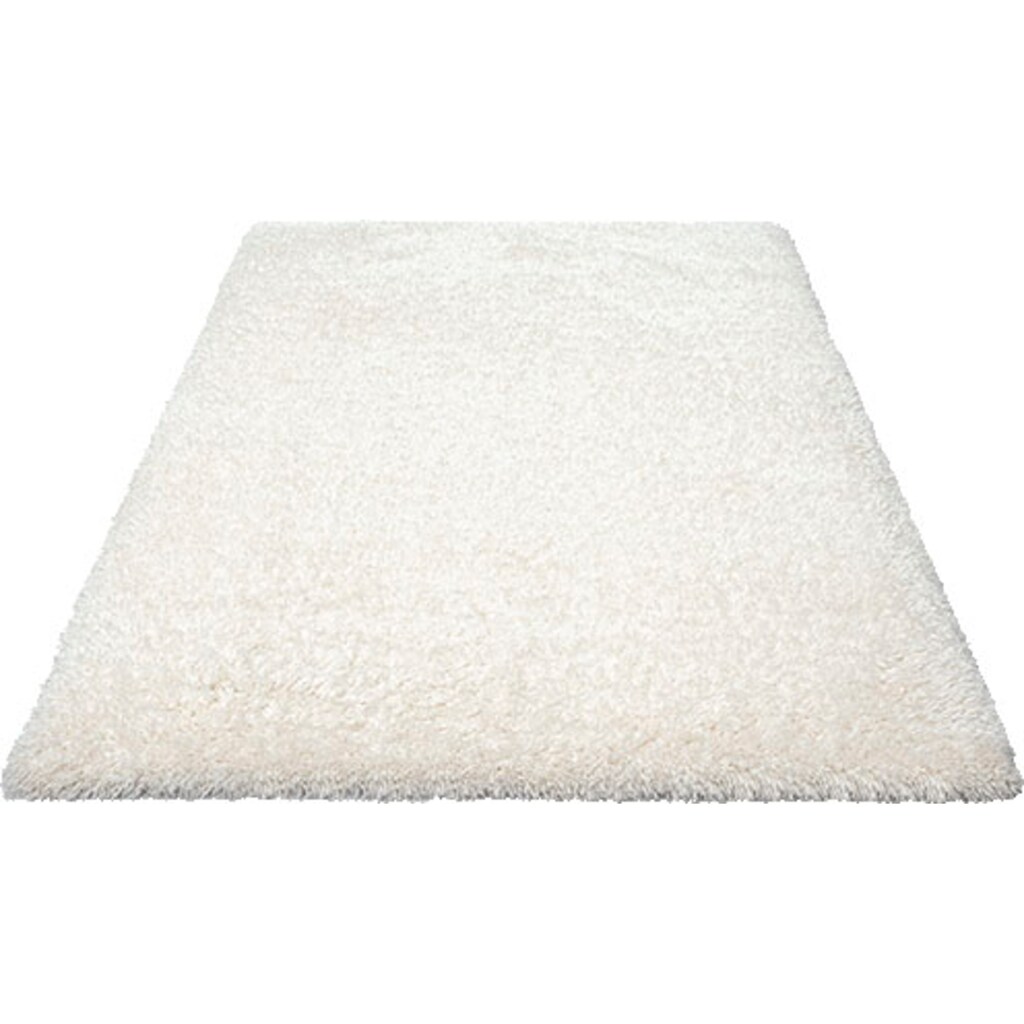 merinos Hochflor-Teppich »Floki 861«, rechteckig