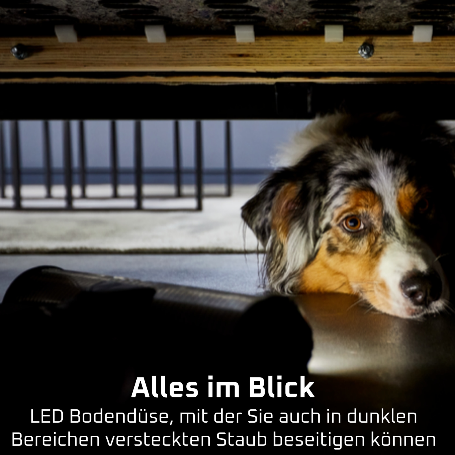 Rowenta Akku-Handstaubsauger »13.60 Allergy, hohe Saugleistung, ultraleicht, Flex-Gelenk, LED-Licht« sehr leicht, automatische Saugleistungsanpassung, RH9A36