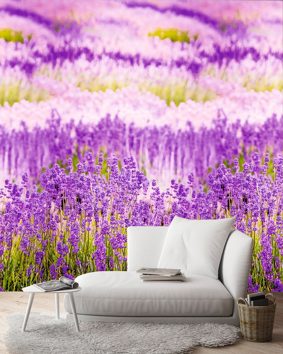 Andiamo Vliestapete »Lavendelblüten«, 1 Rolle á 3 Bahnen 159 cm x 280 cm  online bestellen | BAUR