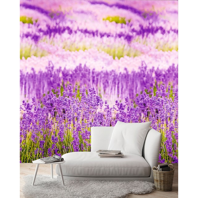 Andiamo Vliestapete »Lavendelblüten«, 1 Rolle á 3 Bahnen 159 cm x 280 cm  online bestellen | BAUR