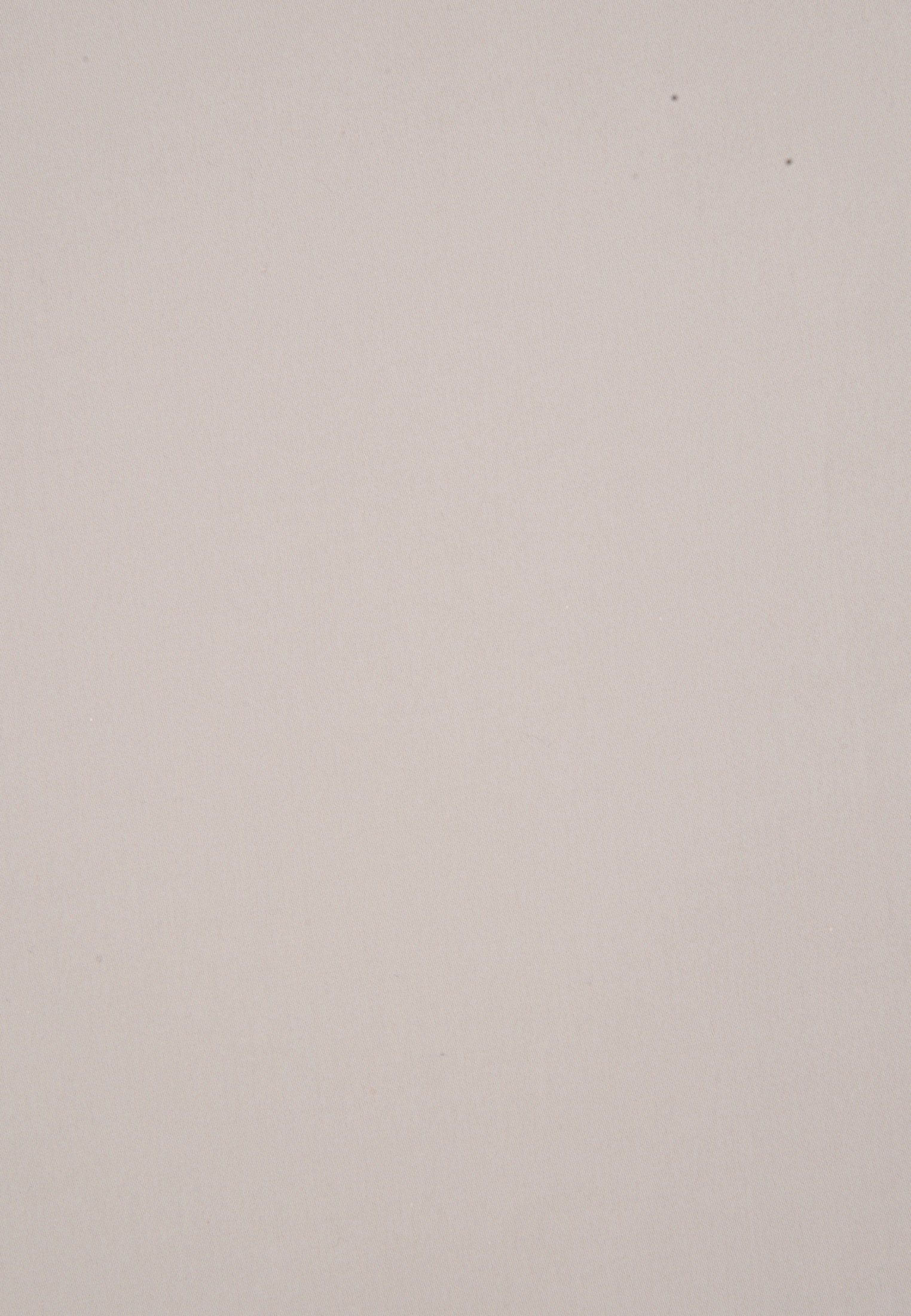 seidensticker Sommerkleid »Schwarze Rose«, Langarm Kragen Uni glänzend