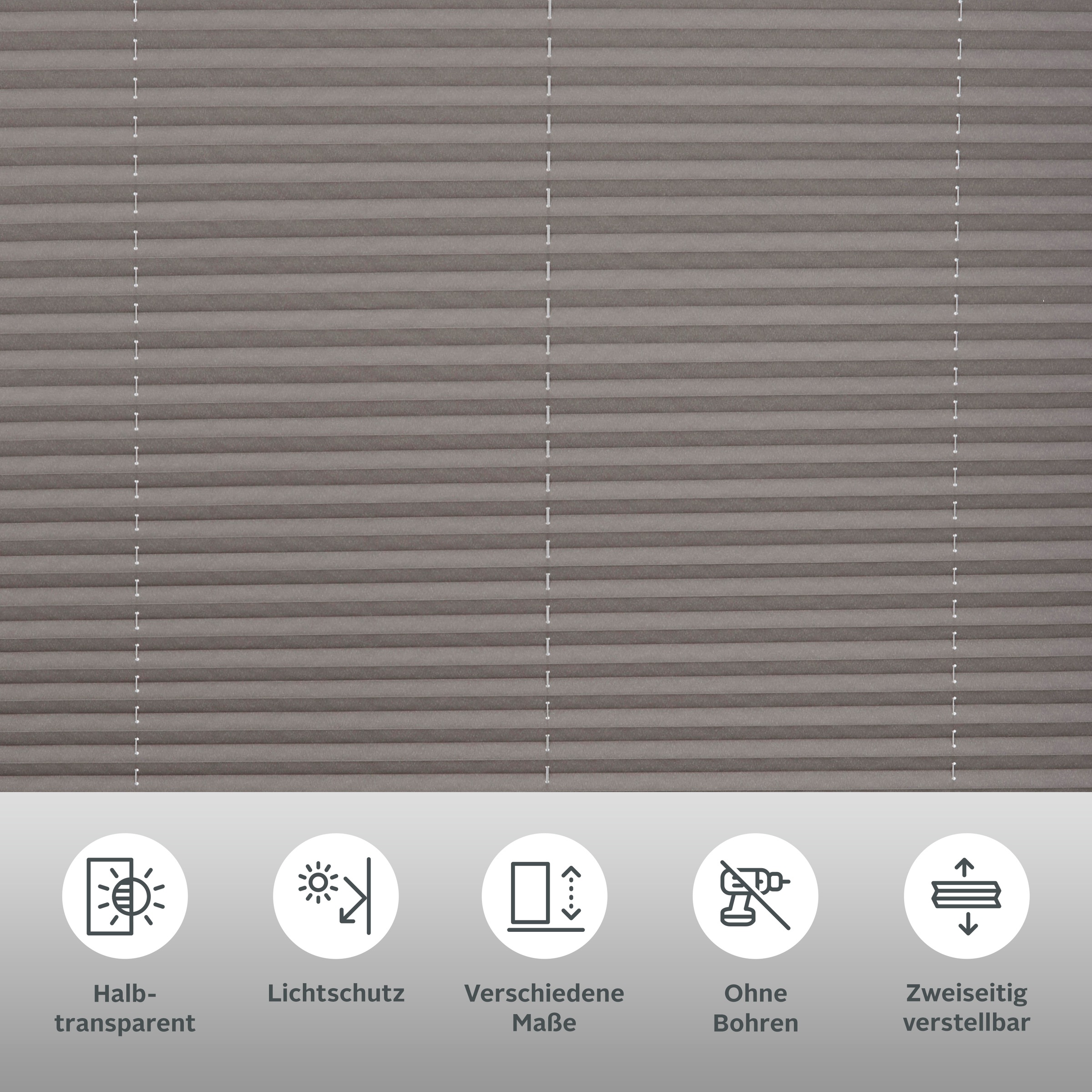 Thumbnail - my home Plissee "LAHOLM" Lichtschutz ohne Bohren verspannt Fixmaß, Bestseller mit über 3500 4,5-Sterne-Bewertungen, Klem...