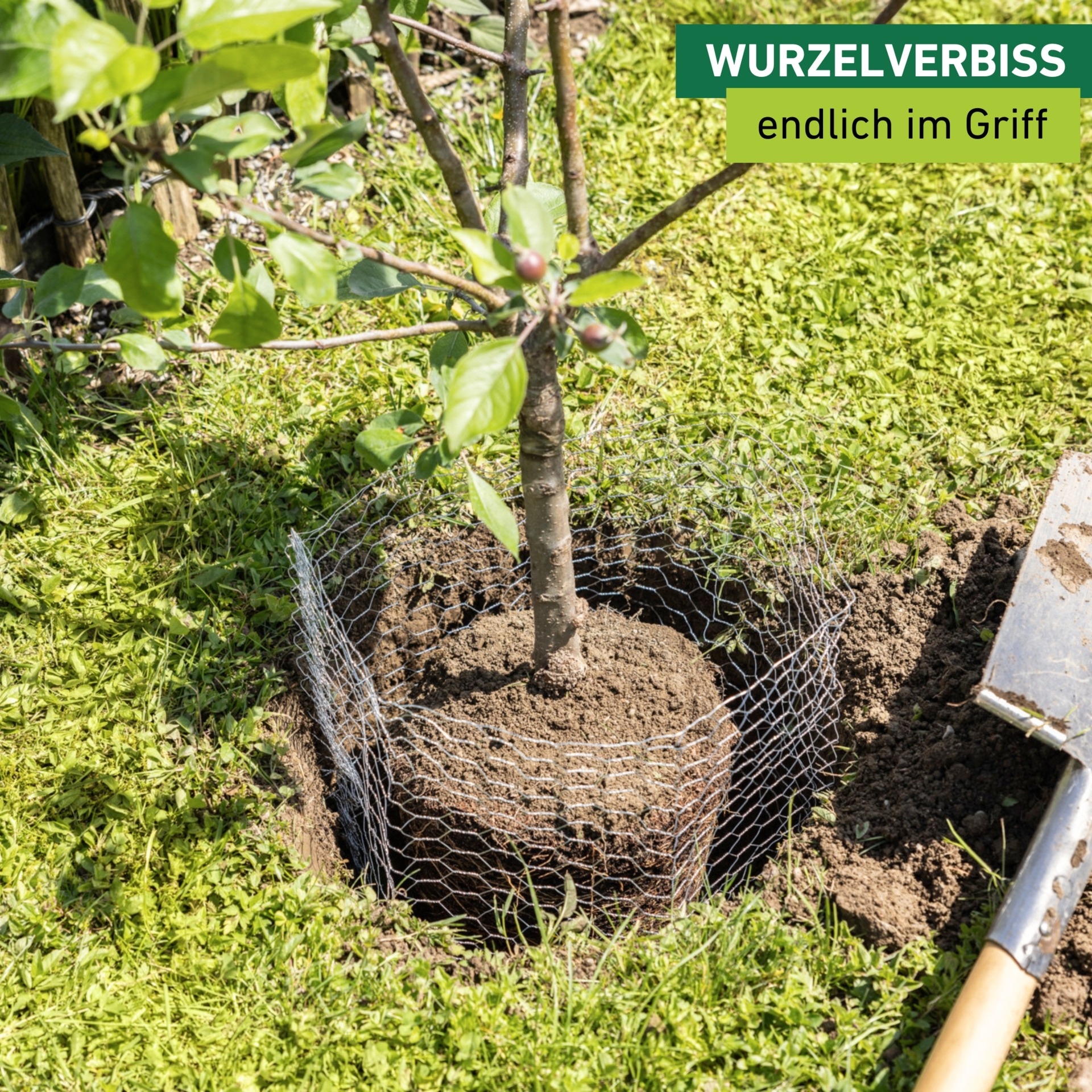 Windhager Mäusegitter »Wühlmaus Schutzkorb gegen Wurzelverbiss durch Wühlmäuse« Ø 60 cm, Höhe 70 cm, verzinkt