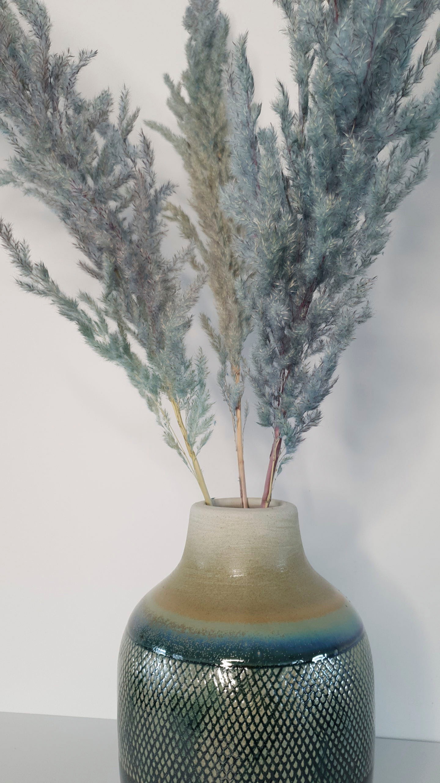 Everflowers Trockenblume »Dried Pampas«, (3 St.), 3er Set