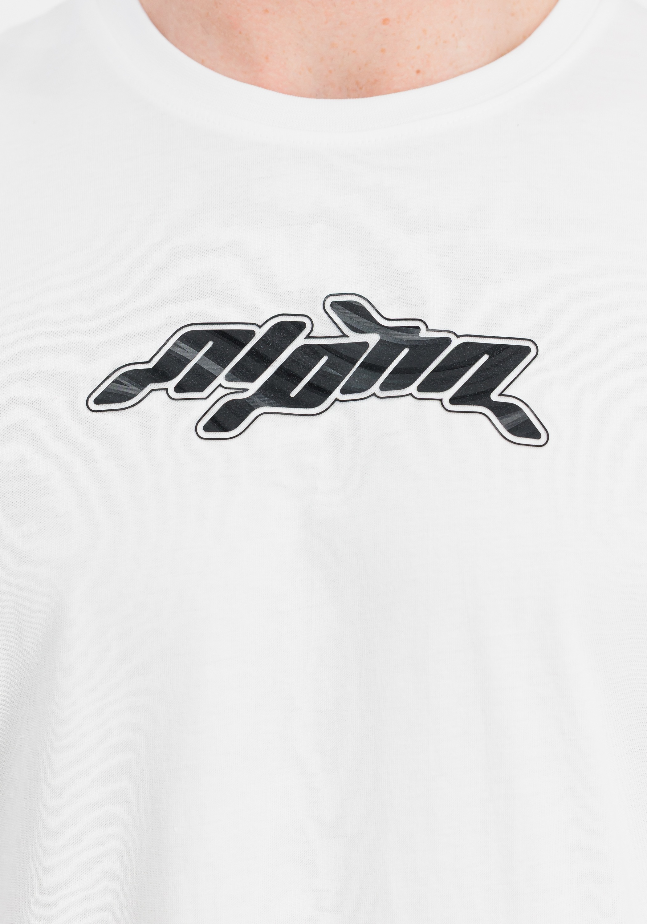 Alpha Industries T-Shirt »3D Wavy Backprint T-Shirt«