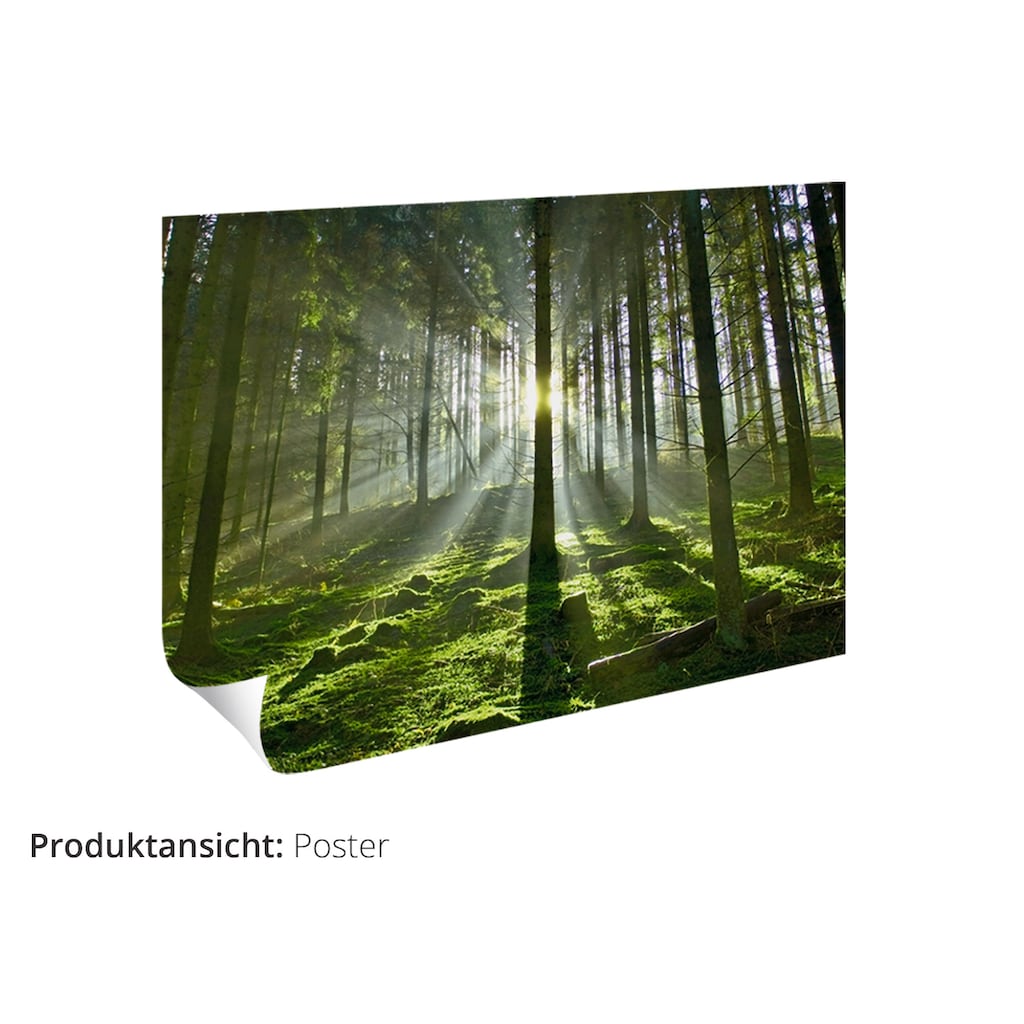 Artland Wandbild »Goldener Wald II«, Bäume, (1 St.)