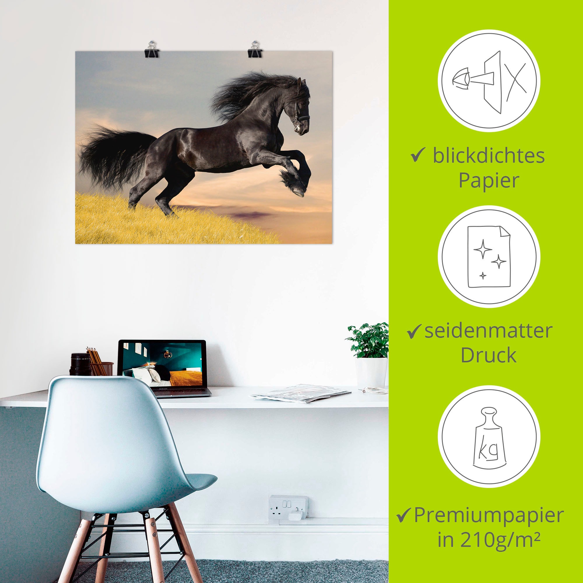 Artland Wandbild »Friesischer Hengstgalopp«, Haustiere, (1 St.), als Poster in verschied. Größen