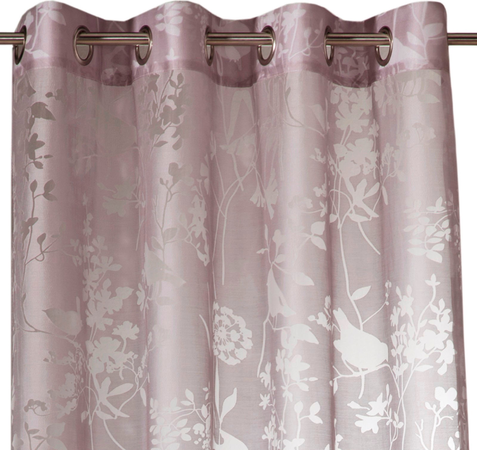 Weckbrodt Vorhang "Shorty" Ösen 1 Stk. tlg. Ausbrenner, Allover,transparent günstig online kaufen