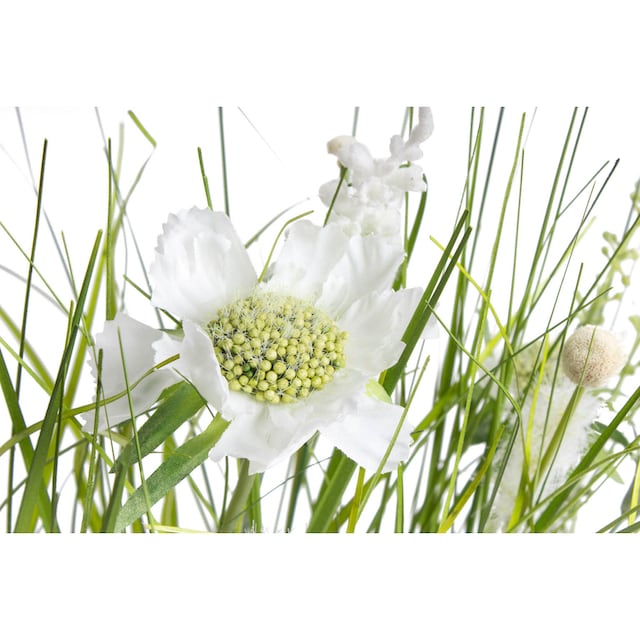 Botanic-Haus Kunstblume »Wiesenblumen im Kunststofftopf« kaufen | BAUR