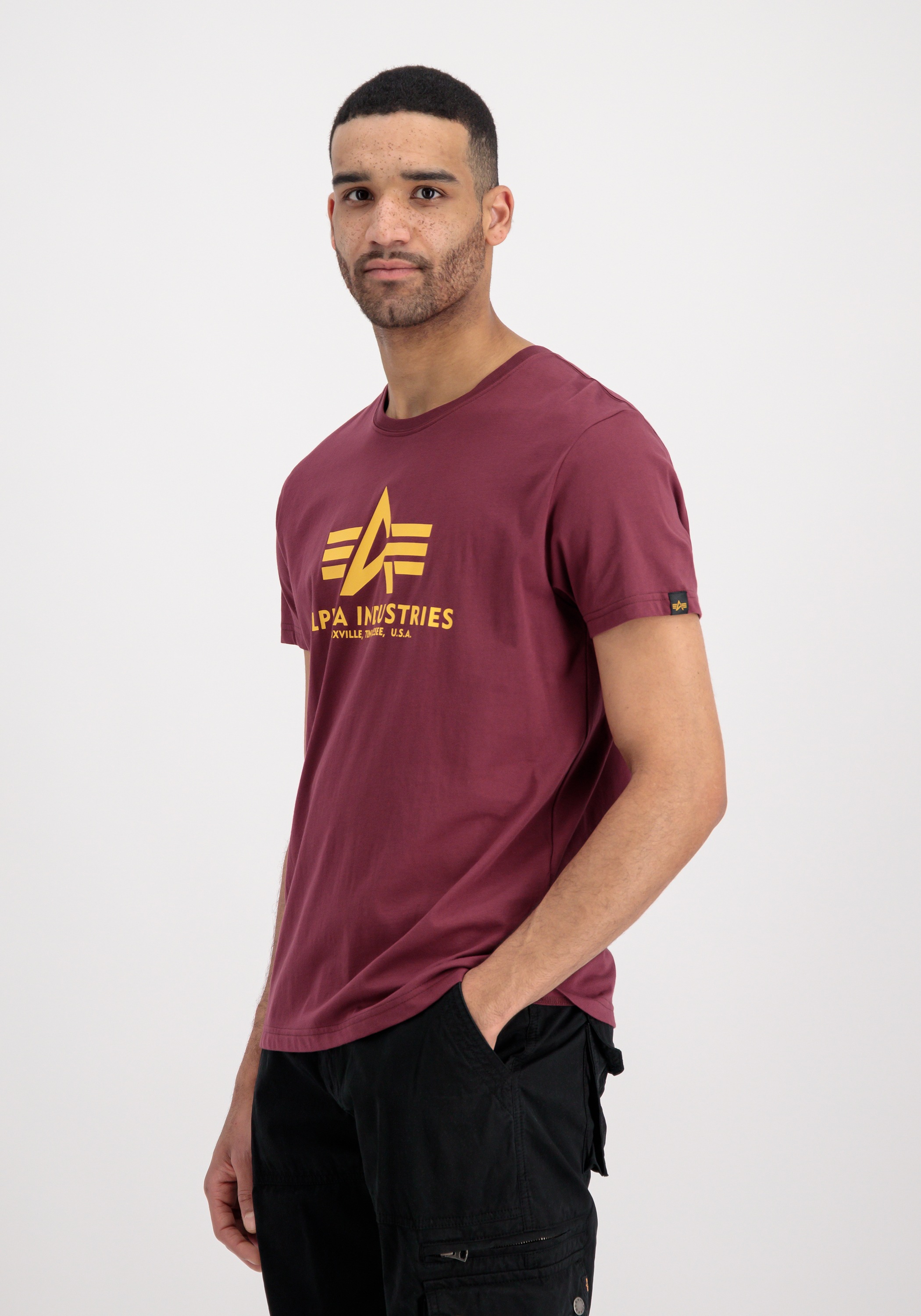 Alpha Industries T-Shirt »Alpha Industries Men - T-Shirts Basic T-Shirt«