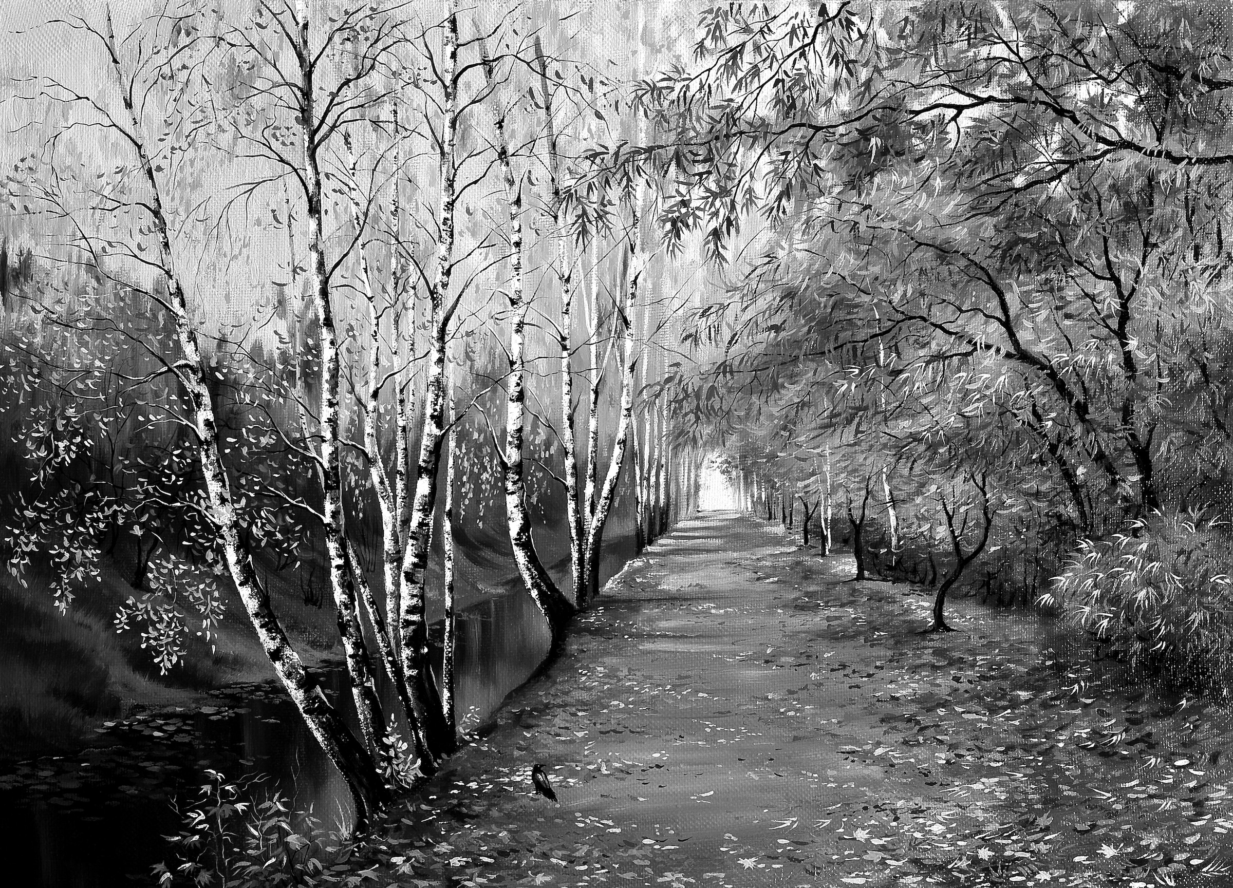 Papermoon Fototapete »Waldweg Schwarz & Weiß«