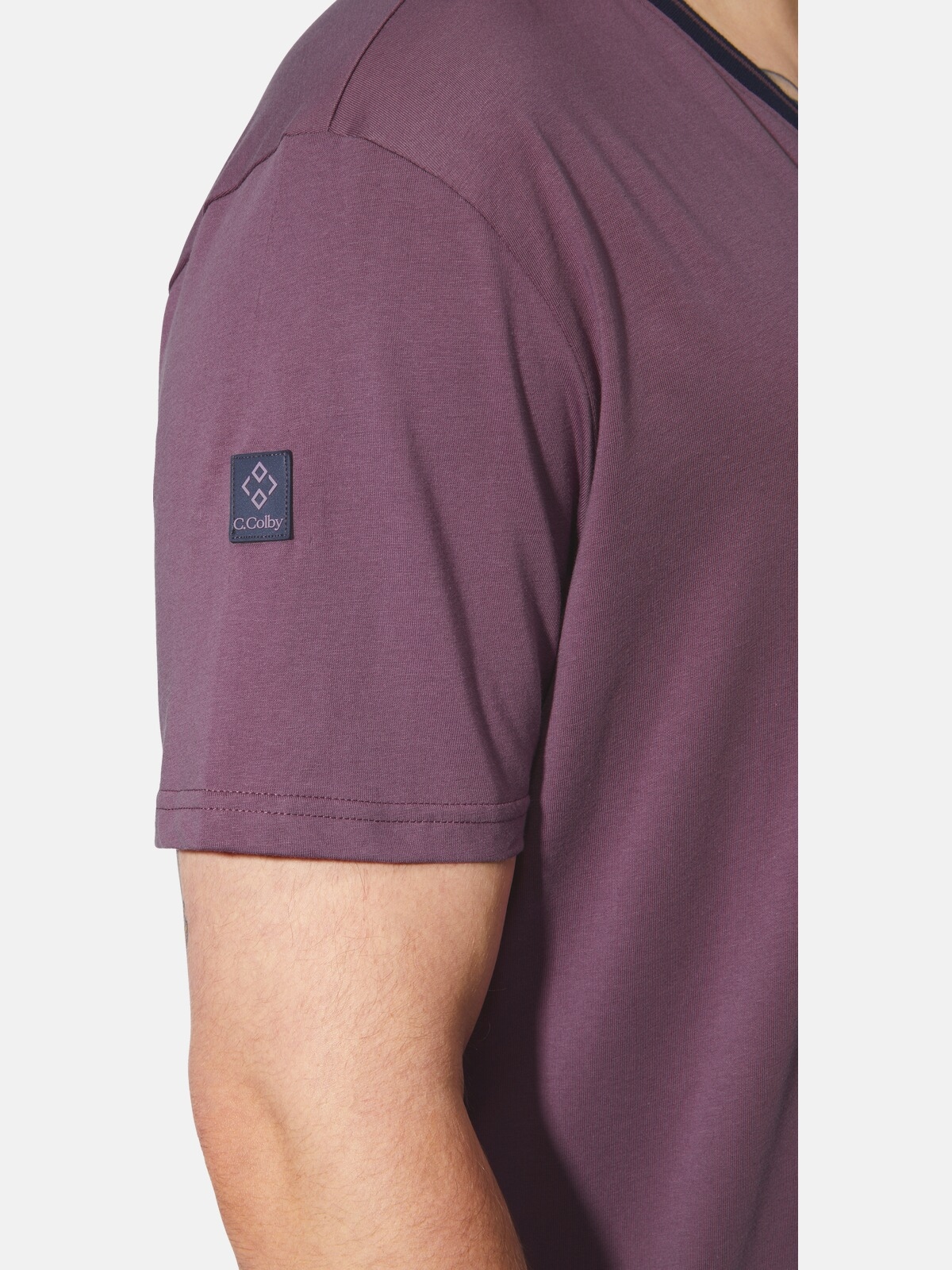 Charles Colby T-Shirt »Doppelpack T-Shirt EARL EDELEY«, (2 tlg.)