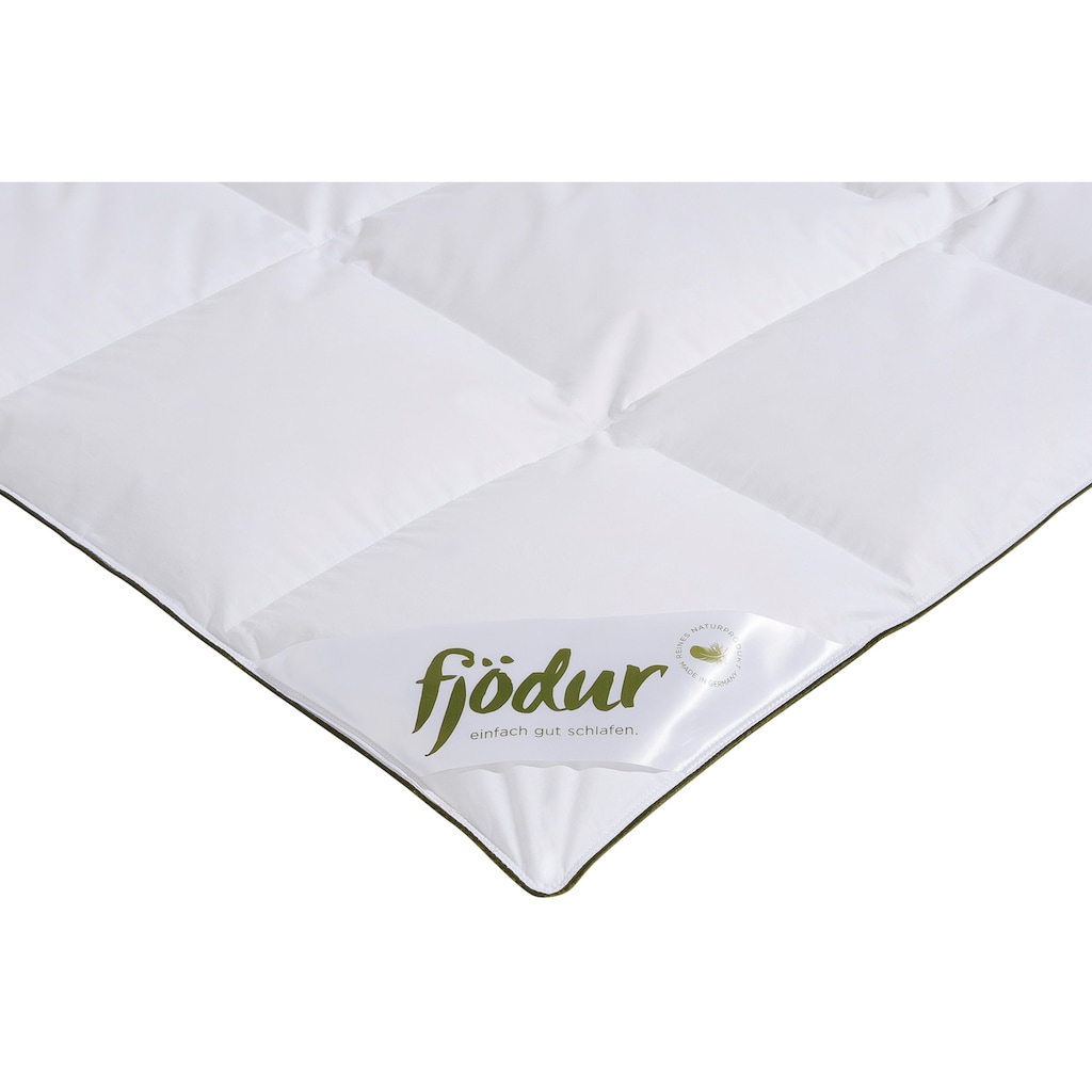 fjödur Gänsedaunenbettdecke + Kopfkissen »Franzisk, Bettwaren-Set, 135x200 oder 155x220 cm, Sommer oder Winter«, (Spar-Set)