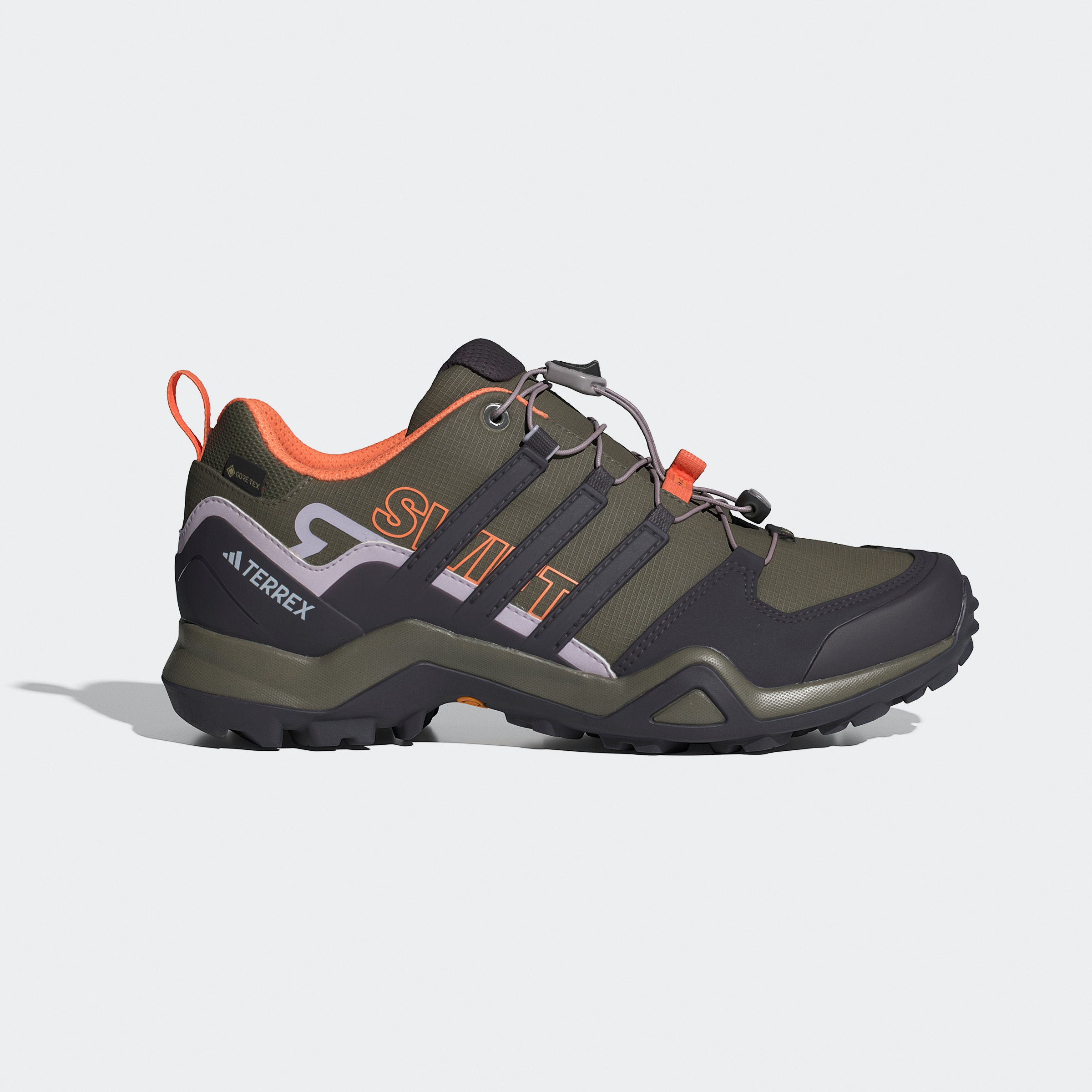 adidas TERREX Wanderschuh "TERREX SWIFT R2 GORE-TEX", wasserdicht günstig online kaufen