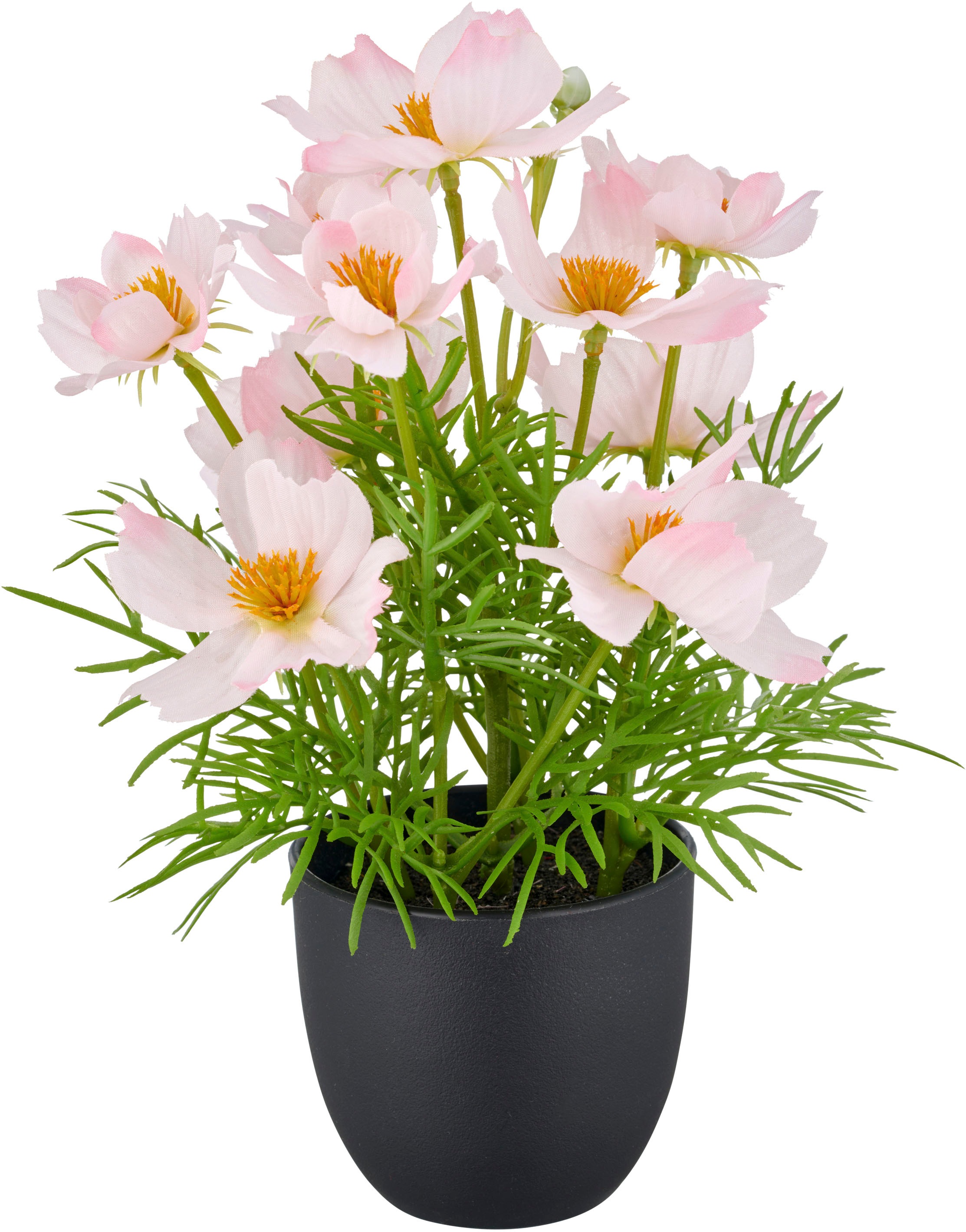 Creativ green Kunstpflanze "Cosmea", mit farbenfrohen Blüten günstig online kaufen
