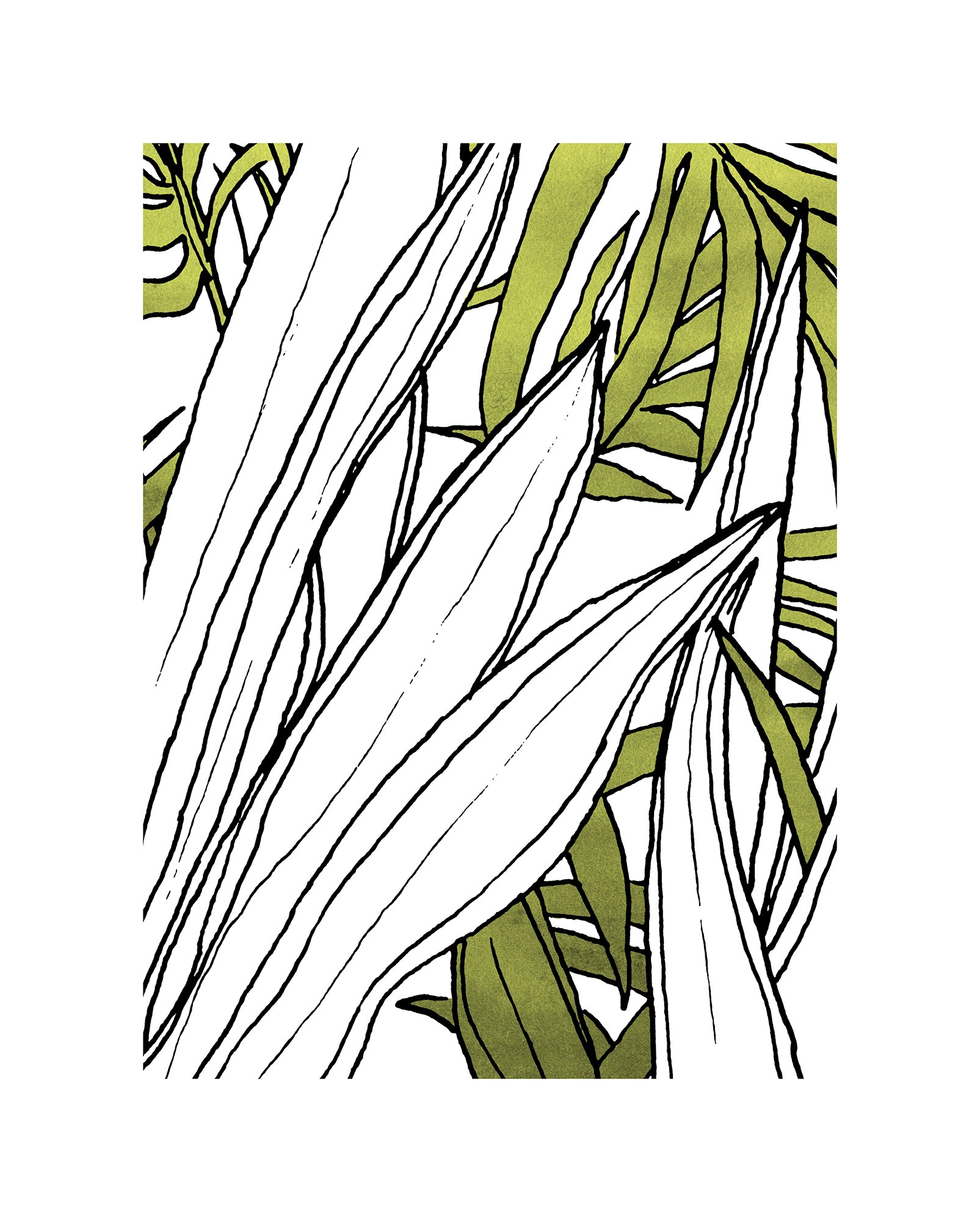 Komar Bild »Bleached Leaves« Natur 1 Stk. tlg. Wandbild zur Dekoration - ohne Rahmen